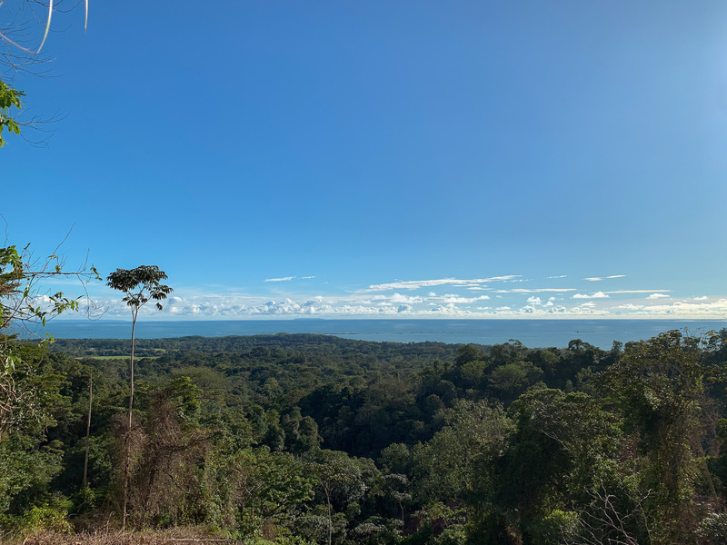 0 bed Land For Sale in Uvita, Puntarenas - 1