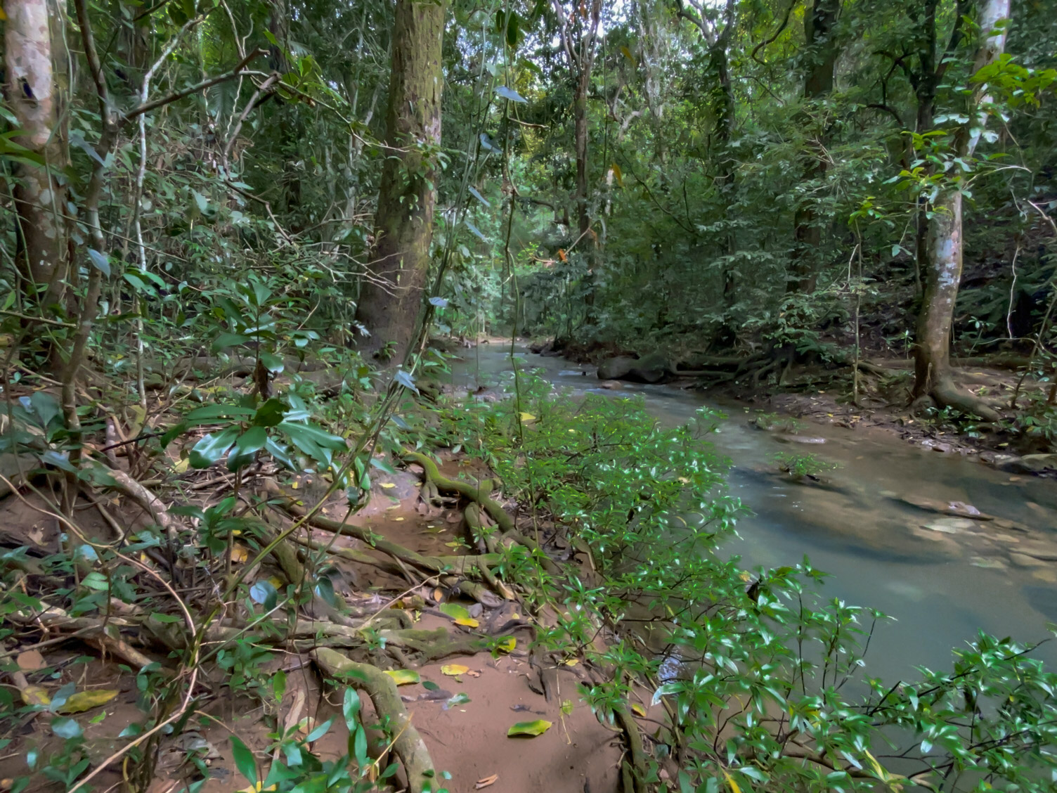 0 bed Land For Sale in Delicias, Puntarenas - thumb 5