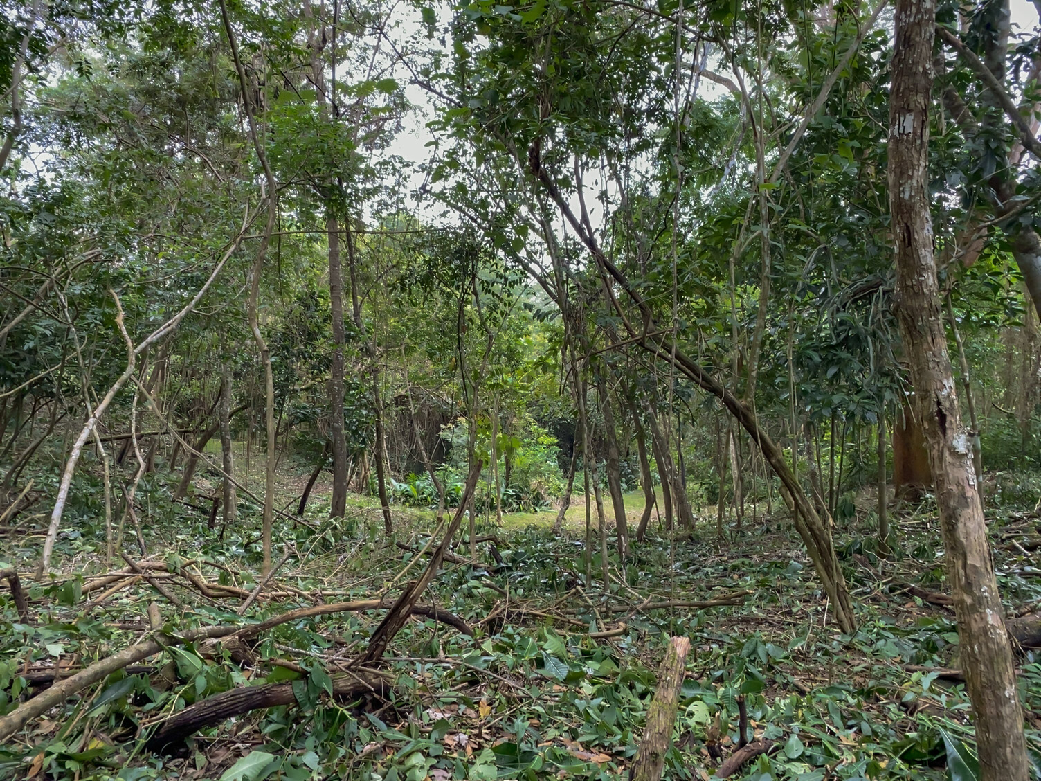 0 bed Land For Sale in Delicias, Puntarenas - thumb 18