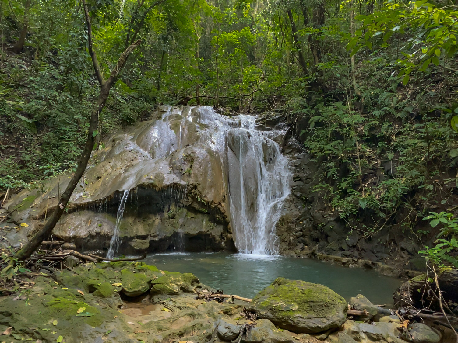 0 bed Land For Sale in Delicias, Puntarenas - thumb 1