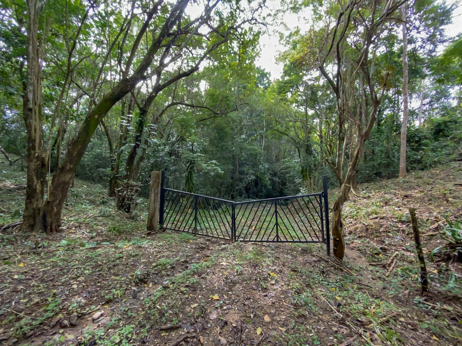 0 bed Land For Sale in Delicias, Puntarenas - thumb 22