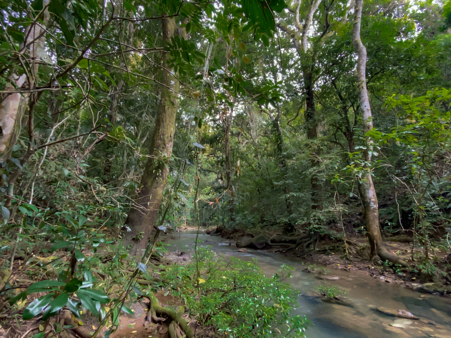 0 bed Land For Sale in Delicias, Puntarenas - thumb 10