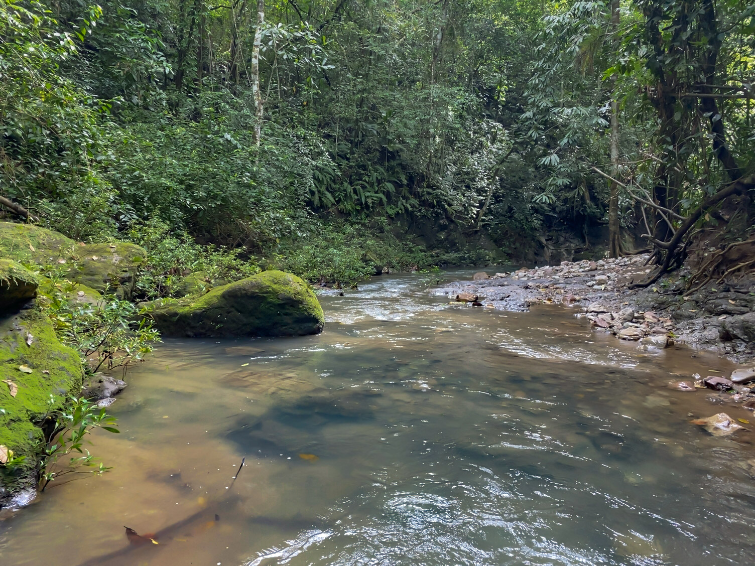 0 bed Land For Sale in Delicias, Puntarenas - thumb 23