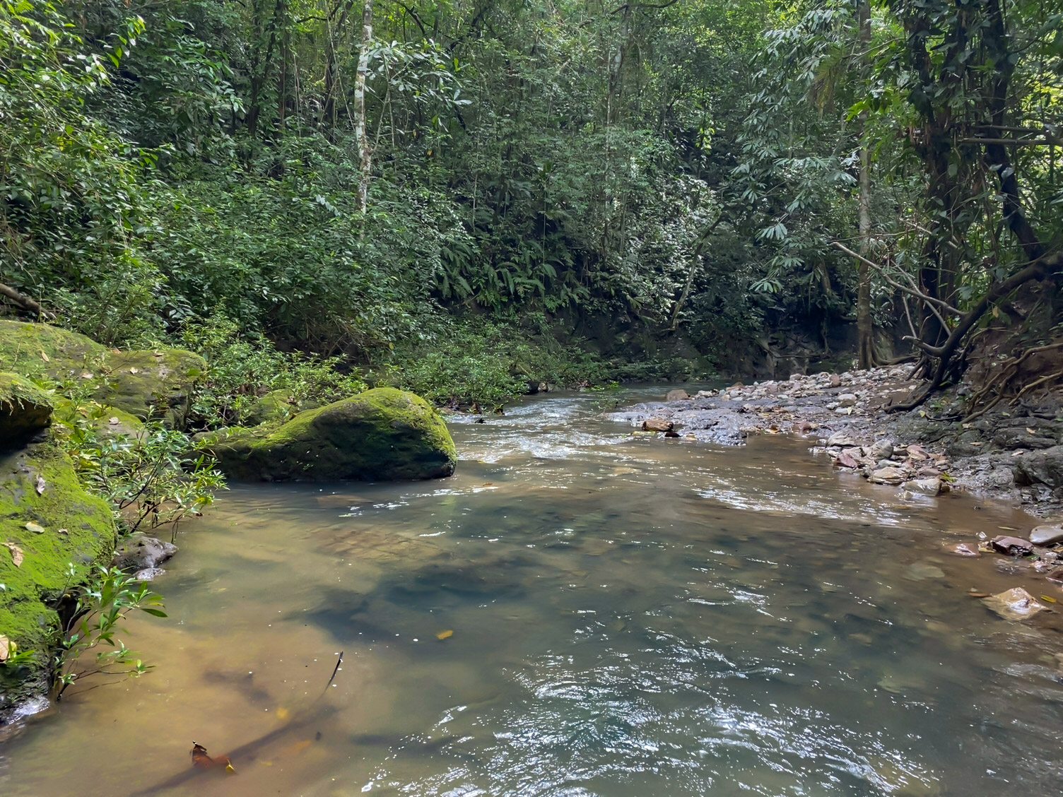 0 bed Land For Sale in Delicias, Puntarenas - thumb 25