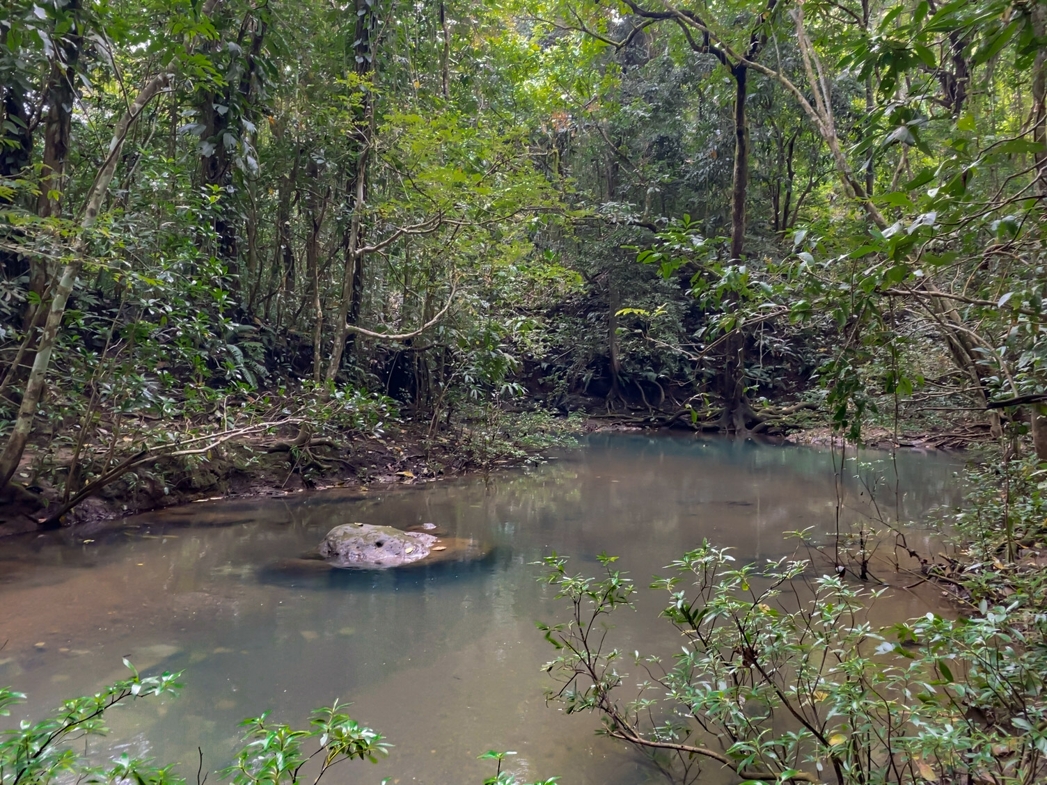 0 bed Land For Sale in Delicias, Puntarenas - thumb 6