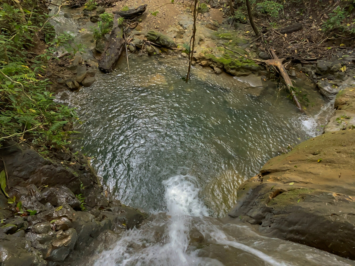 0 bed Land For Sale in Delicias, Puntarenas - thumb 2