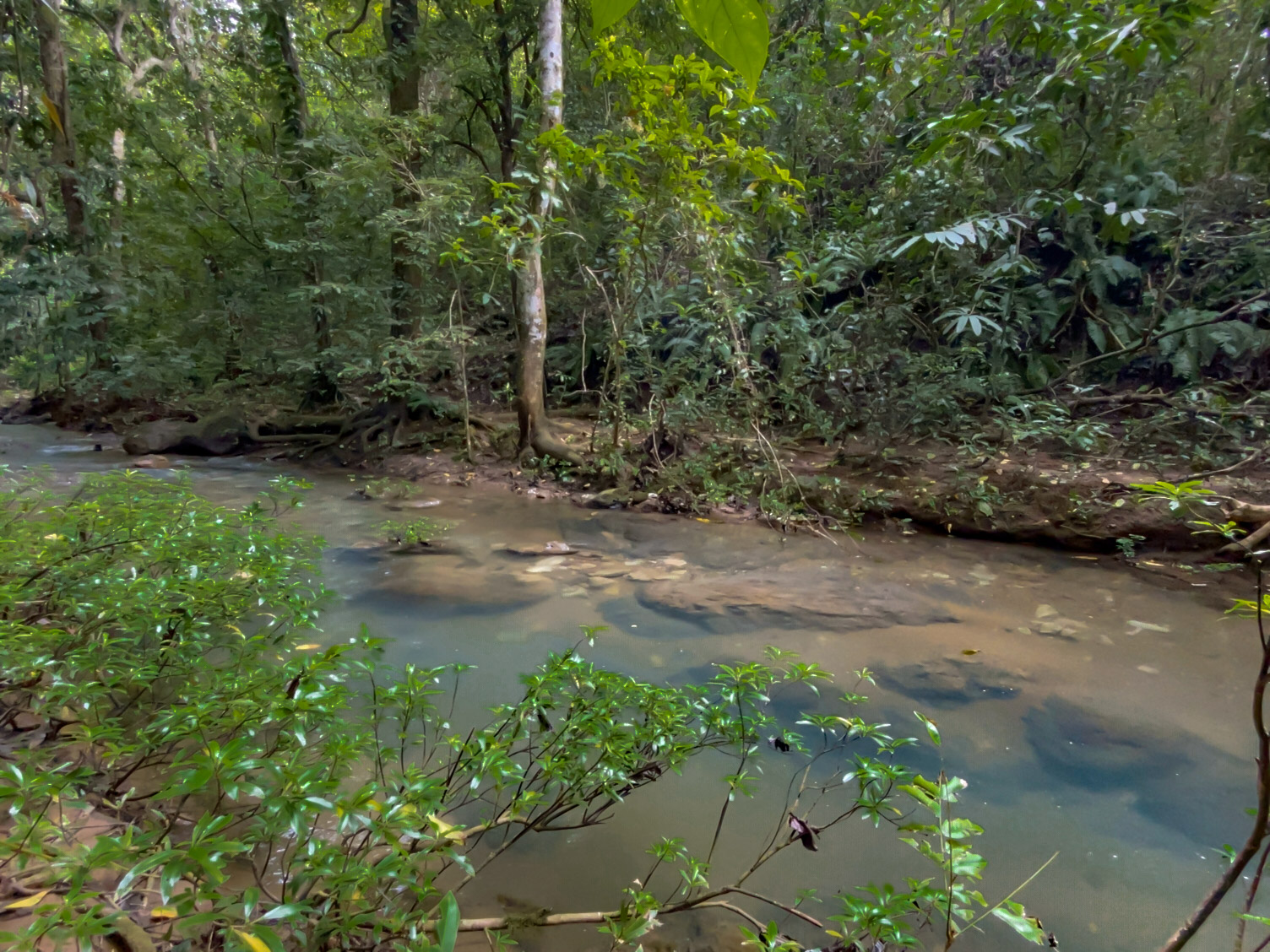 0 bed Land For Sale in Delicias, Puntarenas - thumb 9