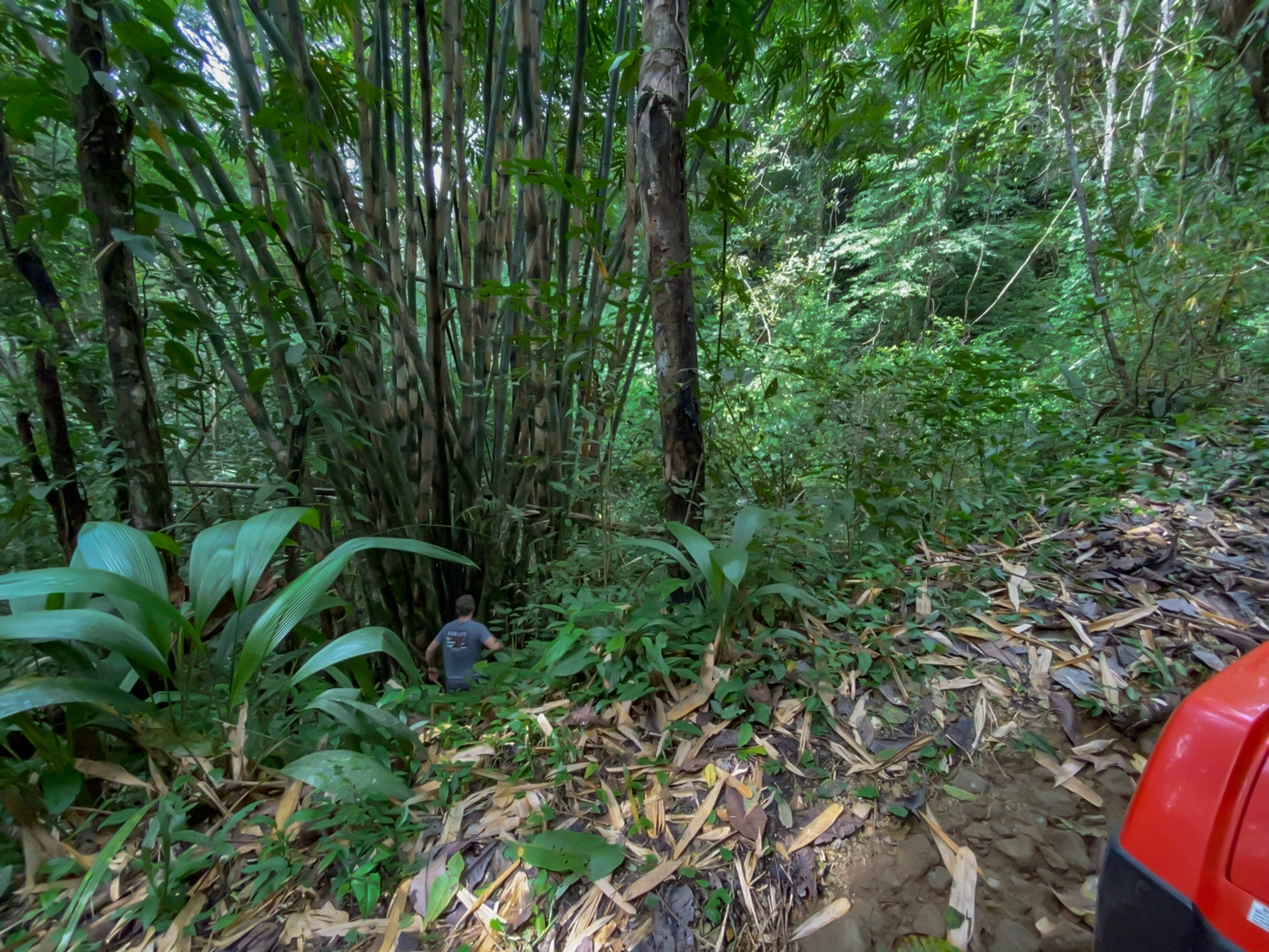 0 bed Land For Sale in Delicias, Puntarenas - thumb 24