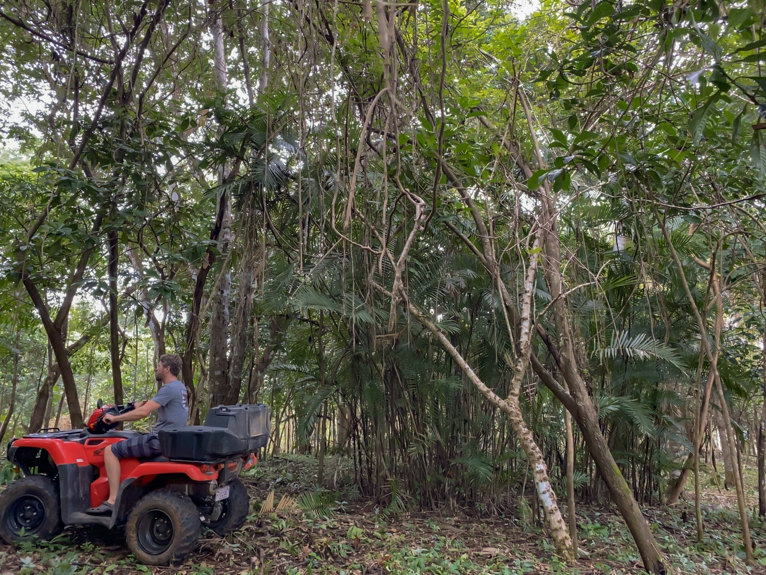 0 bed Land For Sale in Delicias, Puntarenas - thumb 16