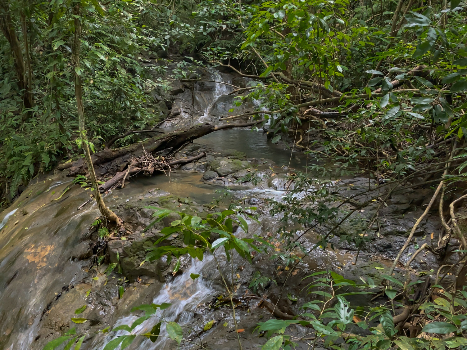 0 bed Land For Sale in Delicias, Puntarenas - thumb 11