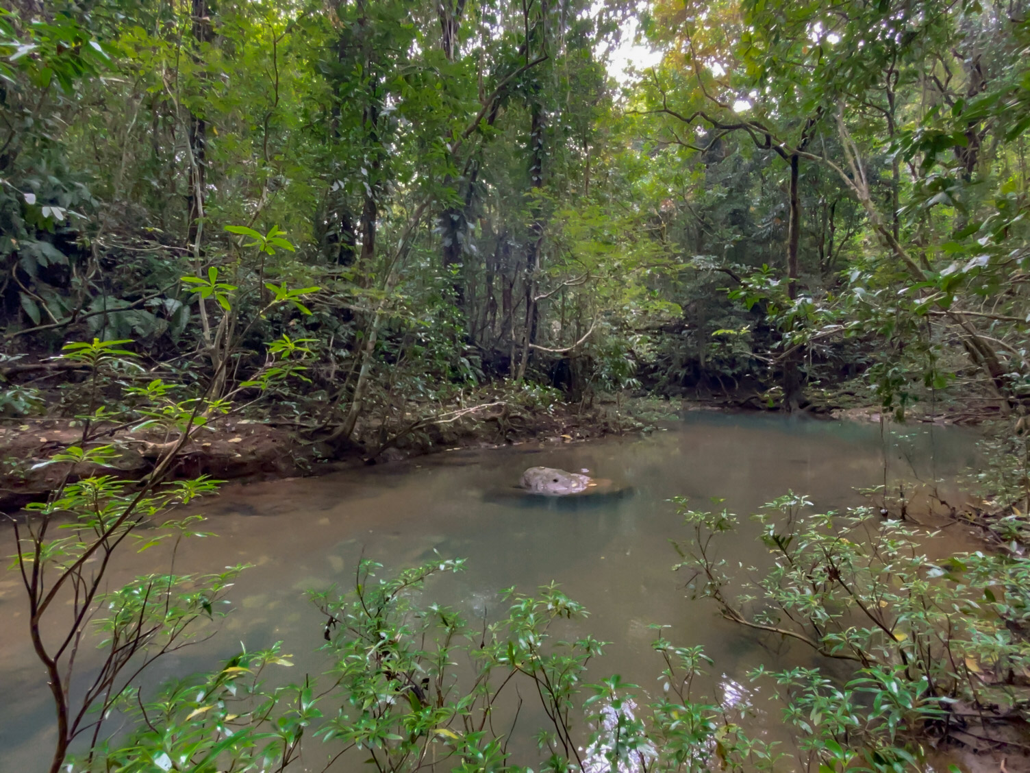 0 bed Land For Sale in Delicias, Puntarenas - thumb 8