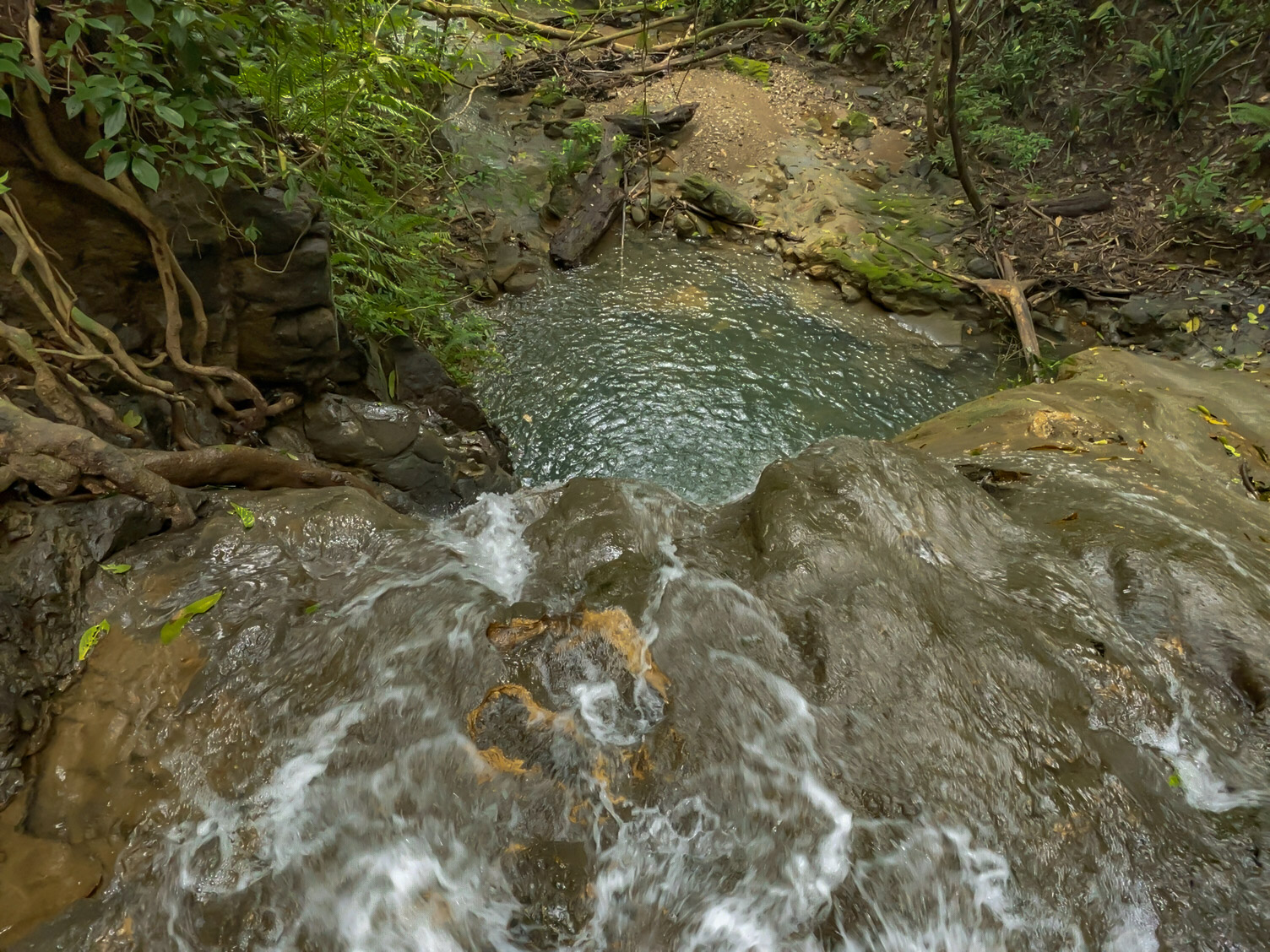 0 bed Land For Sale in Delicias, Puntarenas - thumb 13