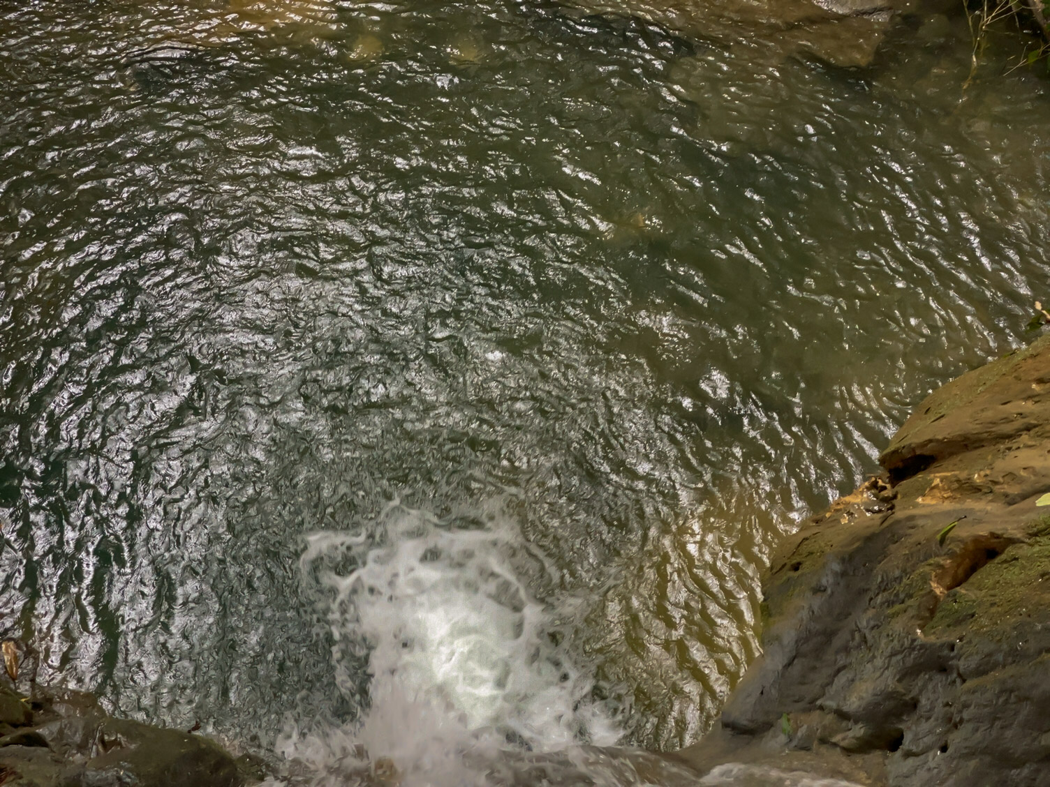 0 bed Land For Sale in Delicias, Puntarenas - thumb 14