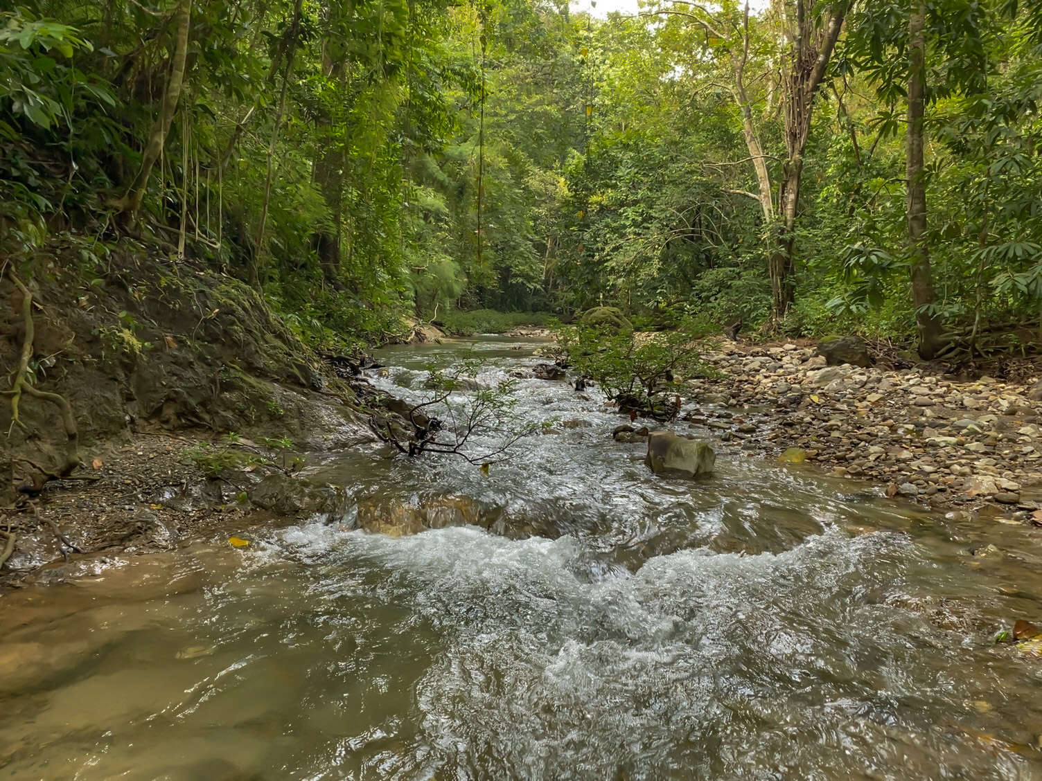 0 bed Land For Sale in Delicias, Puntarenas - thumb 21