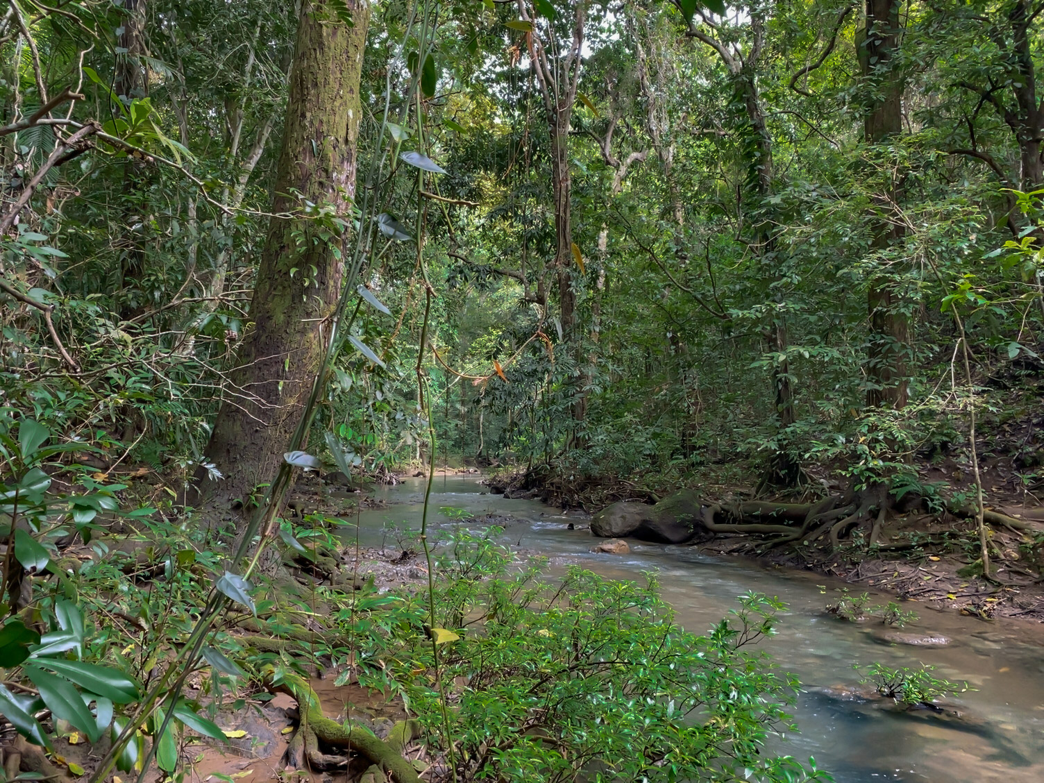 0 bed Land For Sale in Delicias, Puntarenas - thumb 7