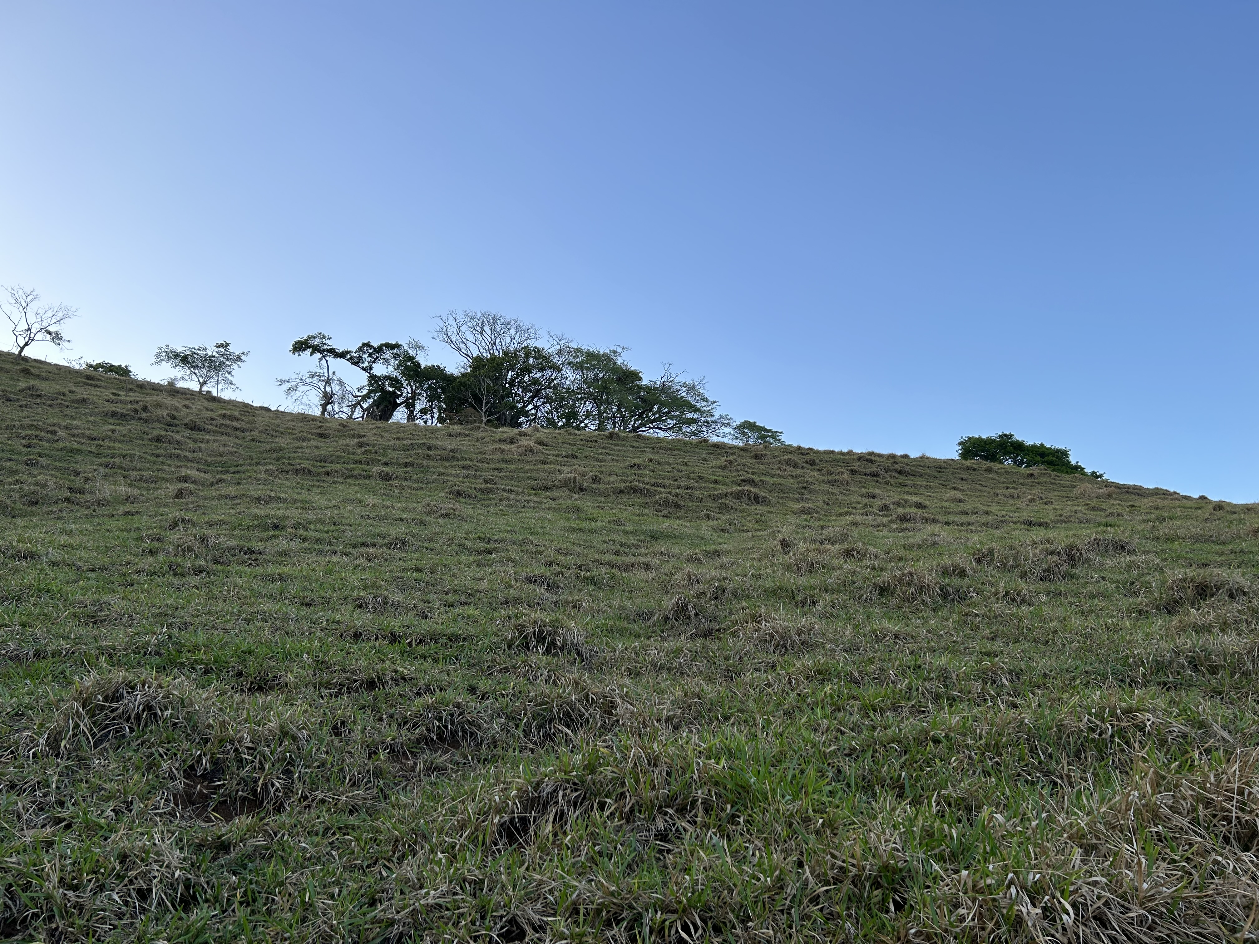 0 bed Land For Sale in Atenas, Alajuela - thumb 1