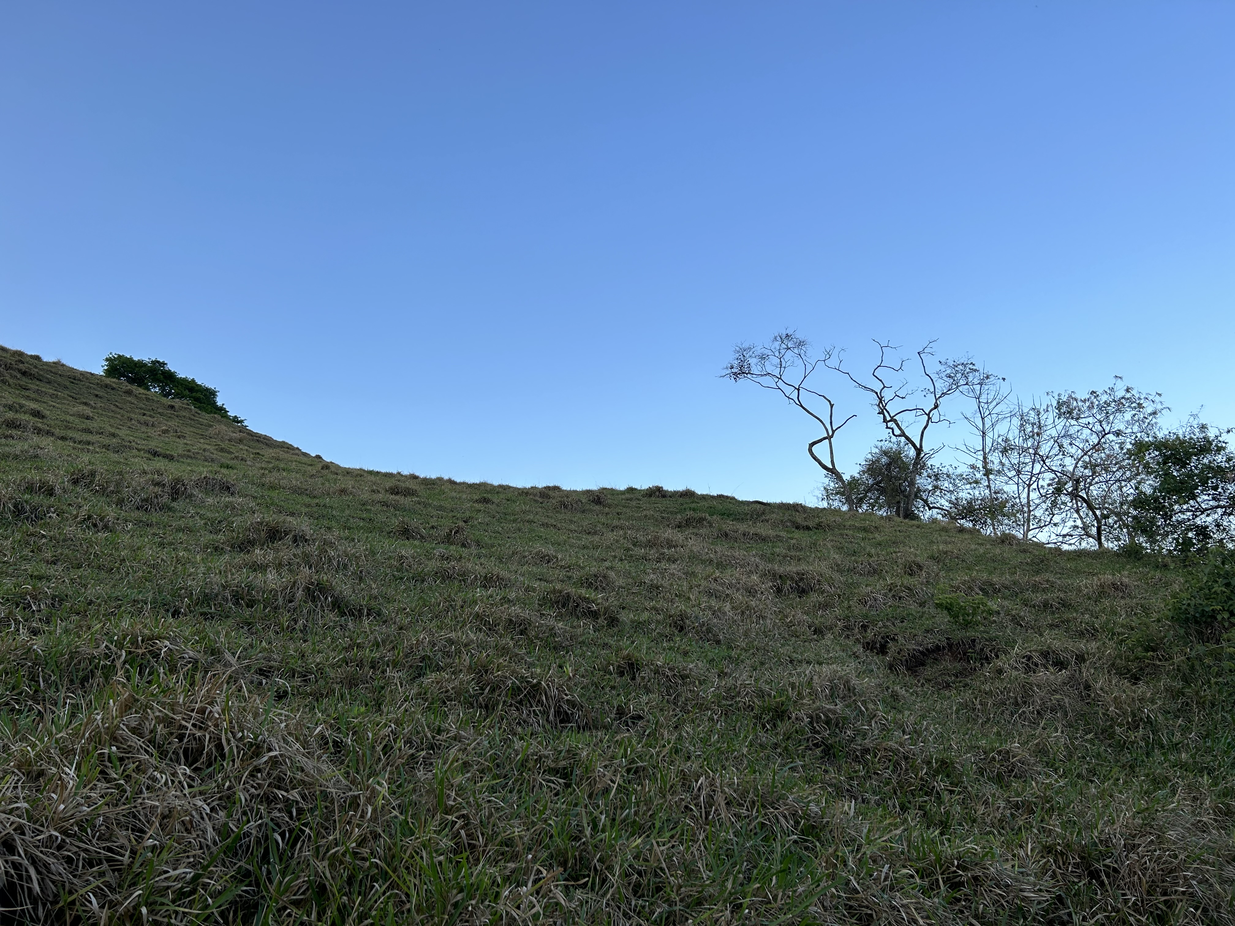 0 bed Land For Sale in Atenas, Alajuela - thumb 2