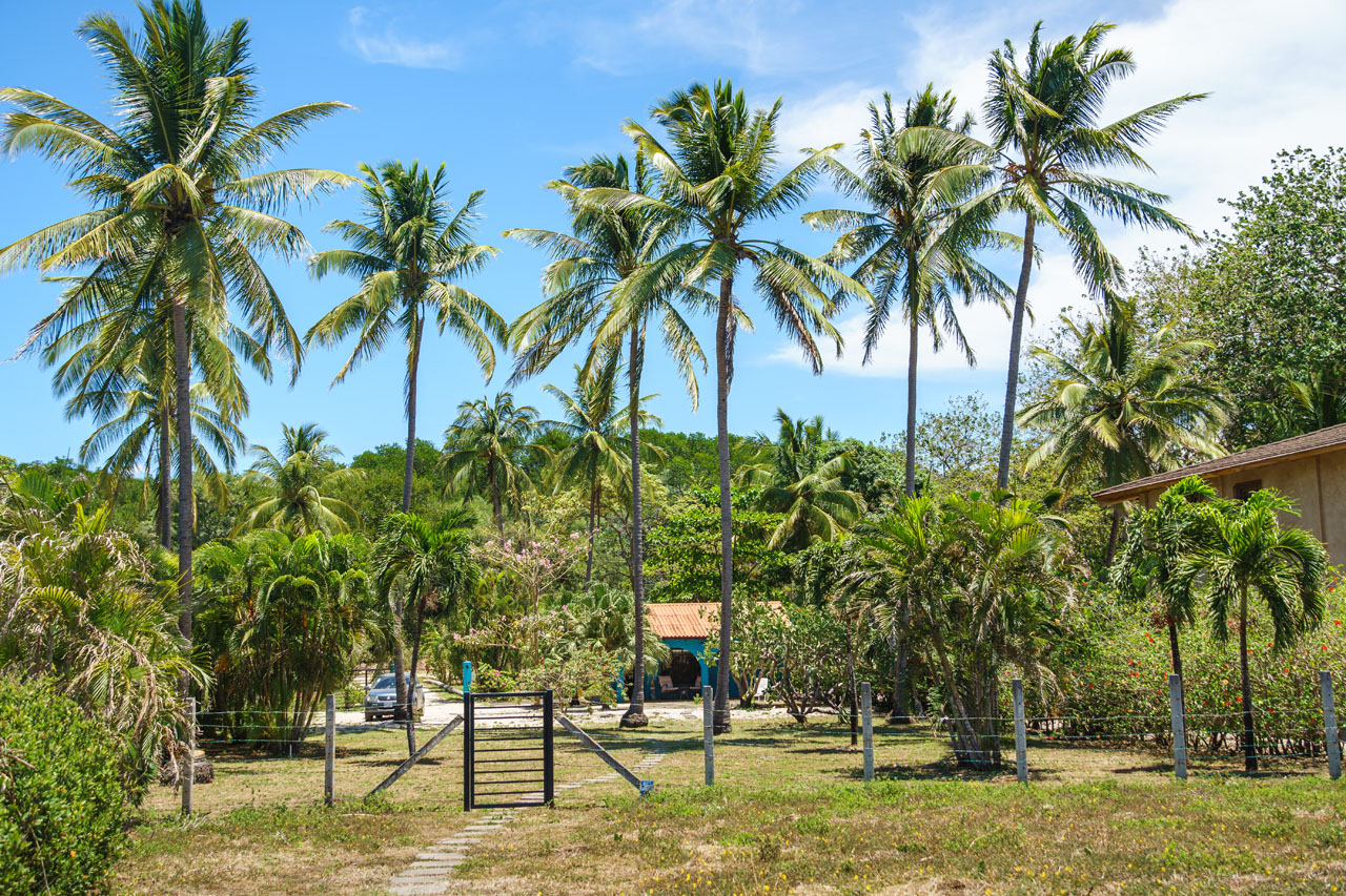 1 bed Land For Sale in Junquillal, Guanacaste - thumb 17