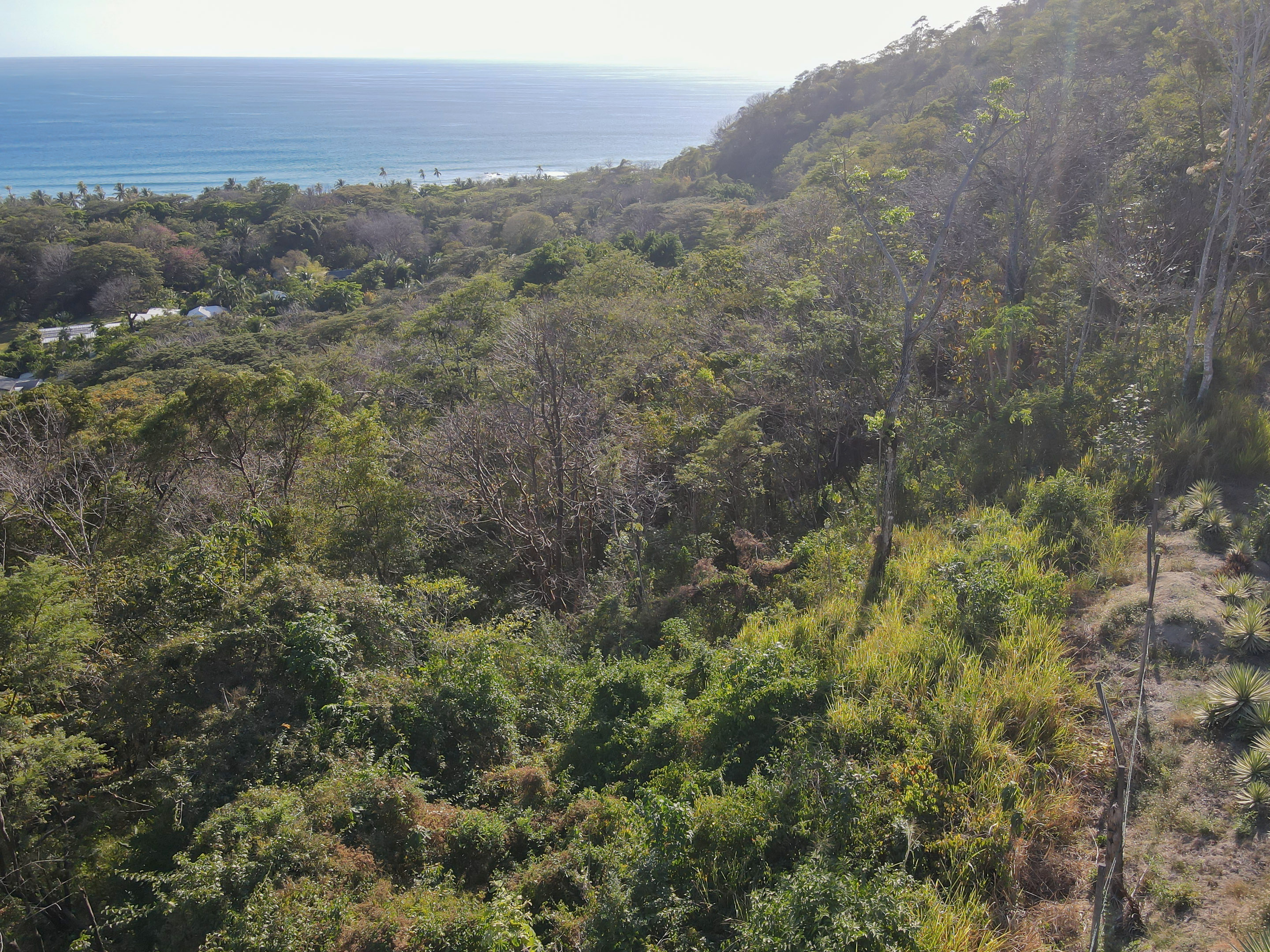 0 bed Land For Sale in Playa Hermosa Santa Teresa, Puntarenas - thumb 3