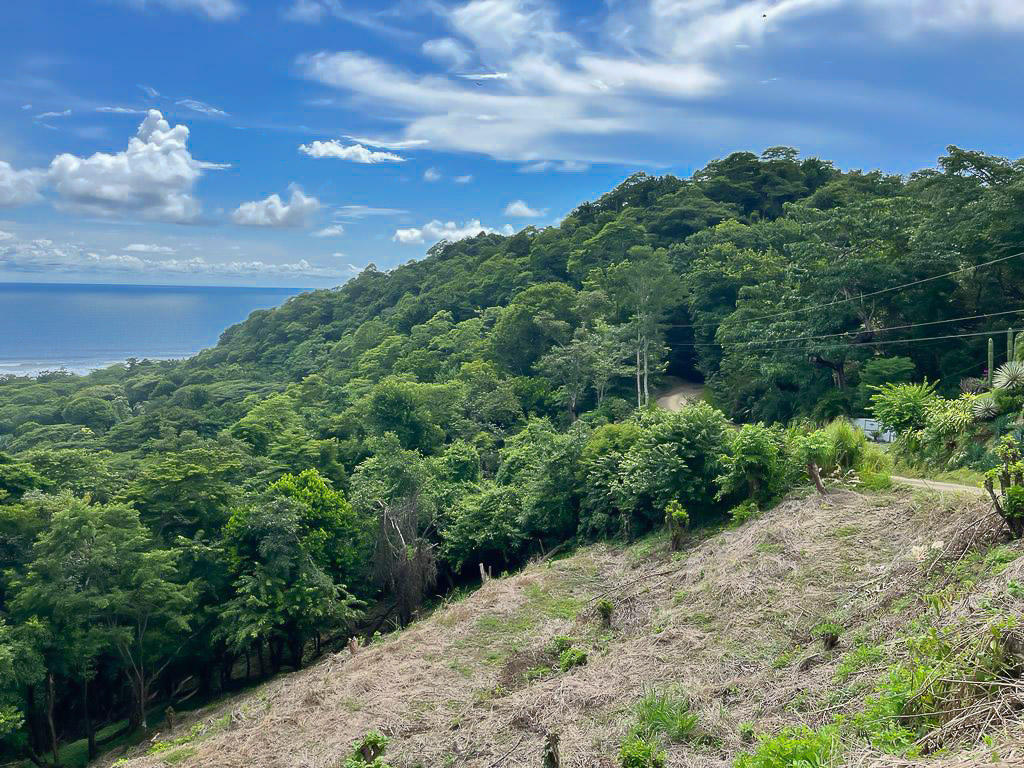 0 bed Land For Sale in Playa Hermosa Santa Teresa, Puntarenas - thumb 4