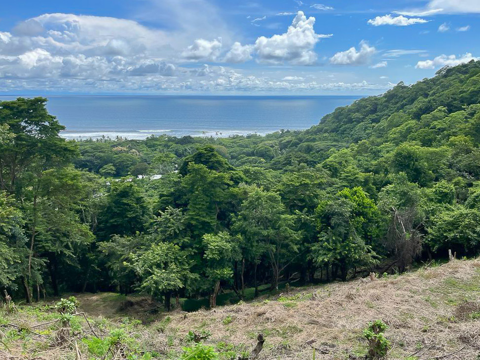 0 bed Land For Sale in Playa Hermosa Santa Teresa, Puntarenas - thumb 3