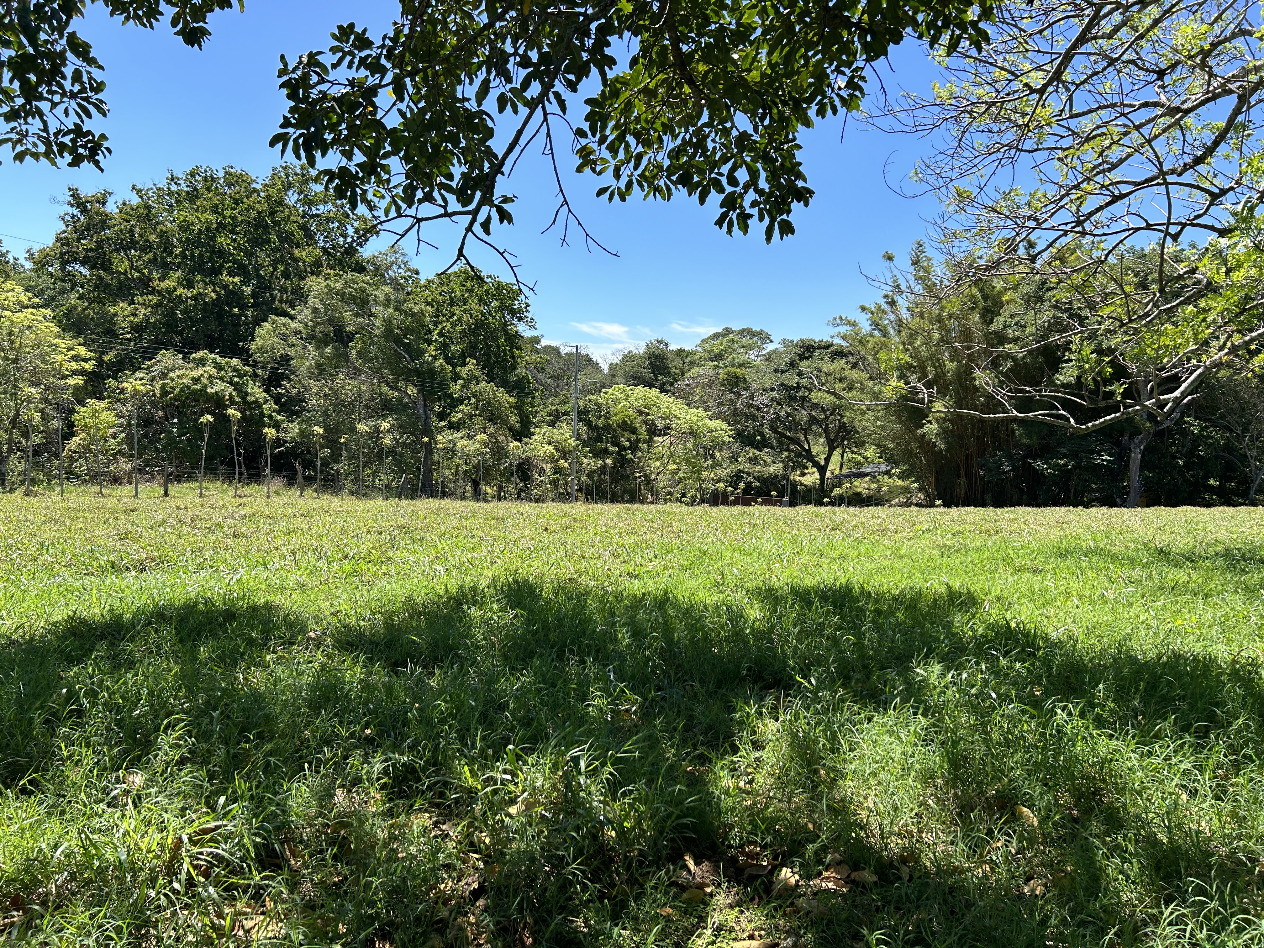 0 bed Land For Sale in Atenas, Alajuela - thumb 3