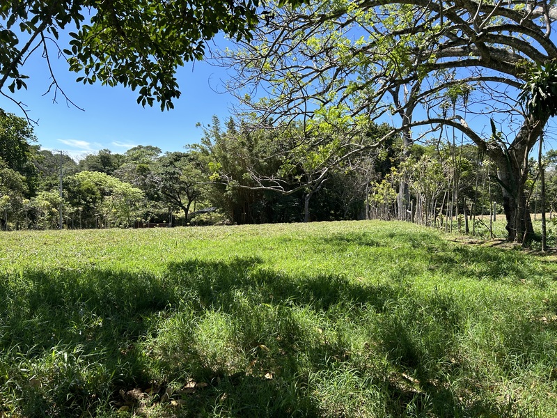 0 bed Land For Sale in Atenas, Alajuela - thumb 4