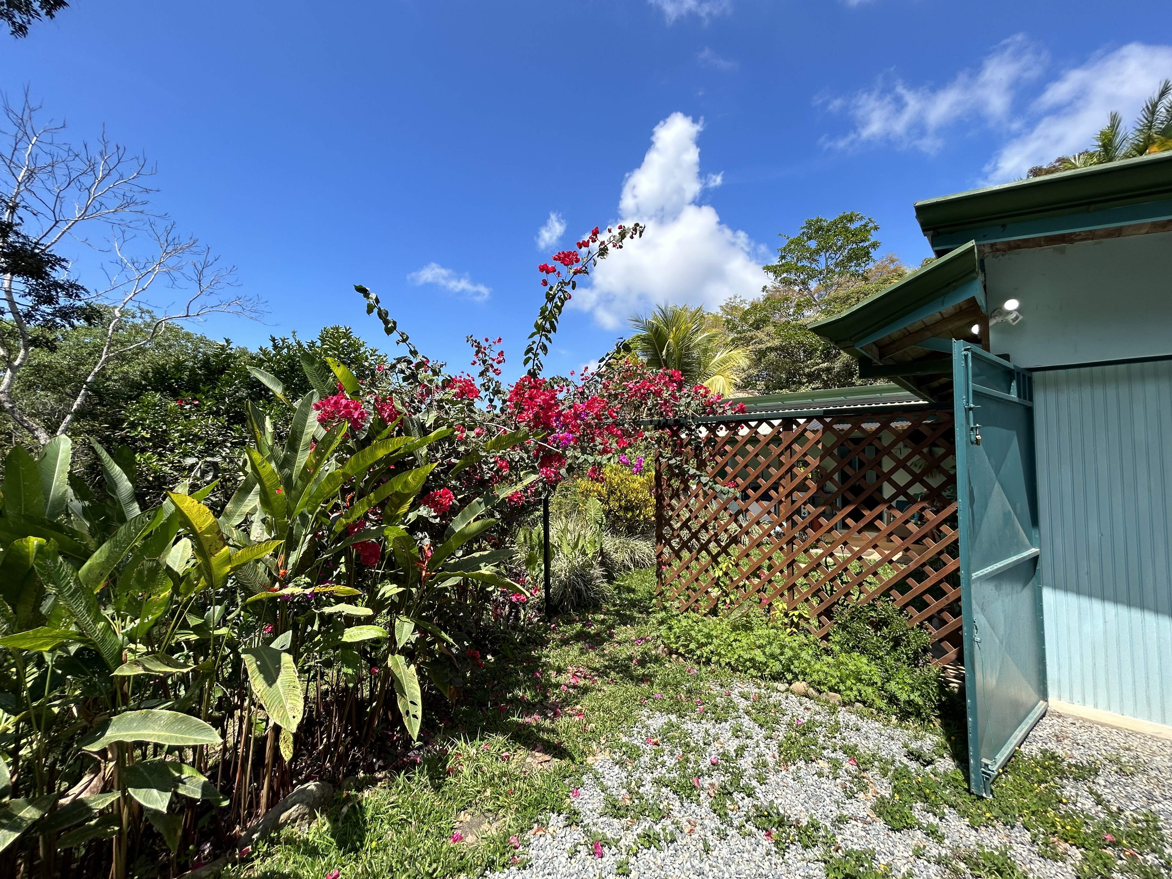 2 bed Single Family Homes For Sale in Dominical, Puntarenas - thumb 7