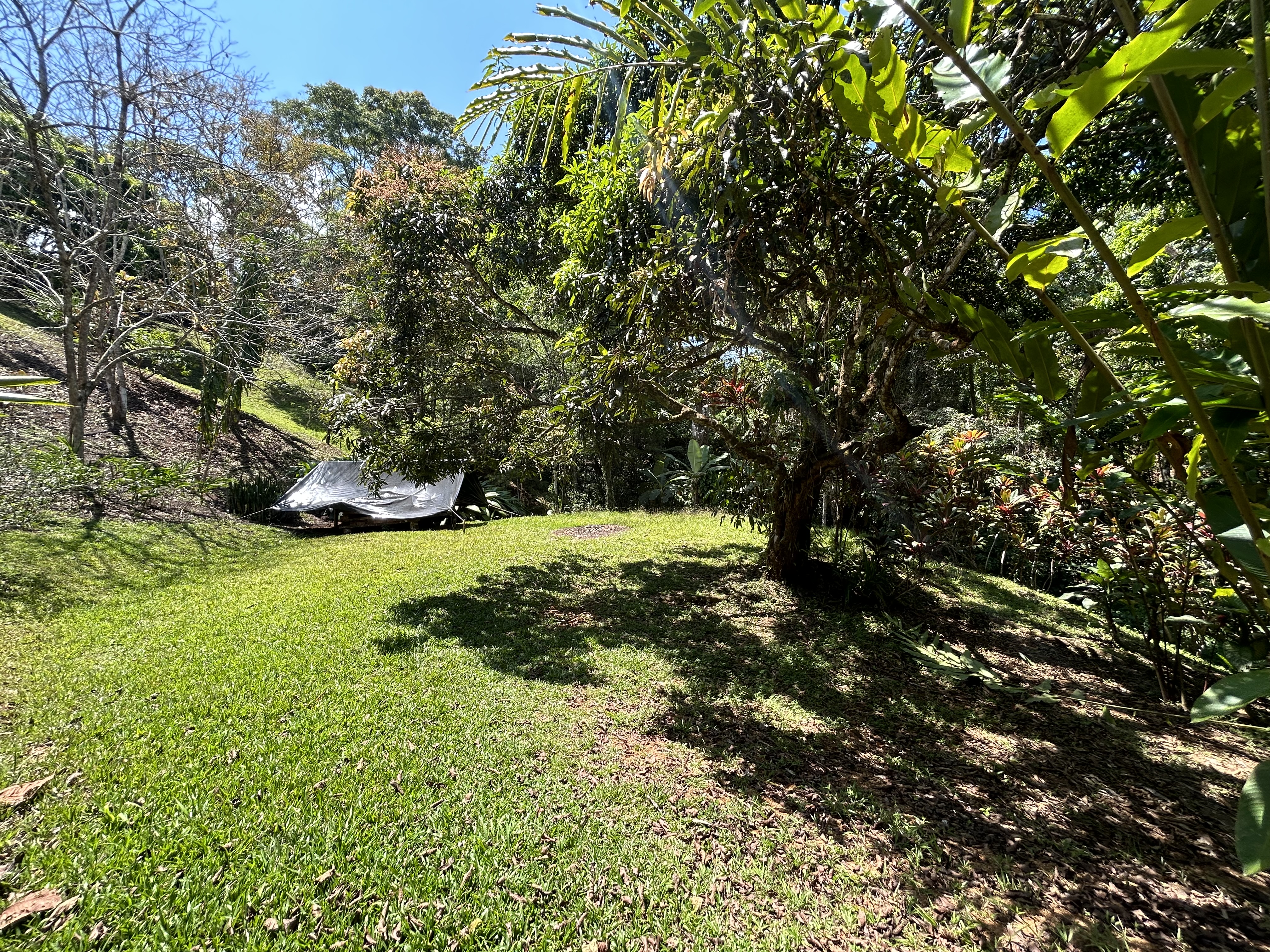 2 bed Single Family Homes For Sale in Dominical, Puntarenas - thumb 8