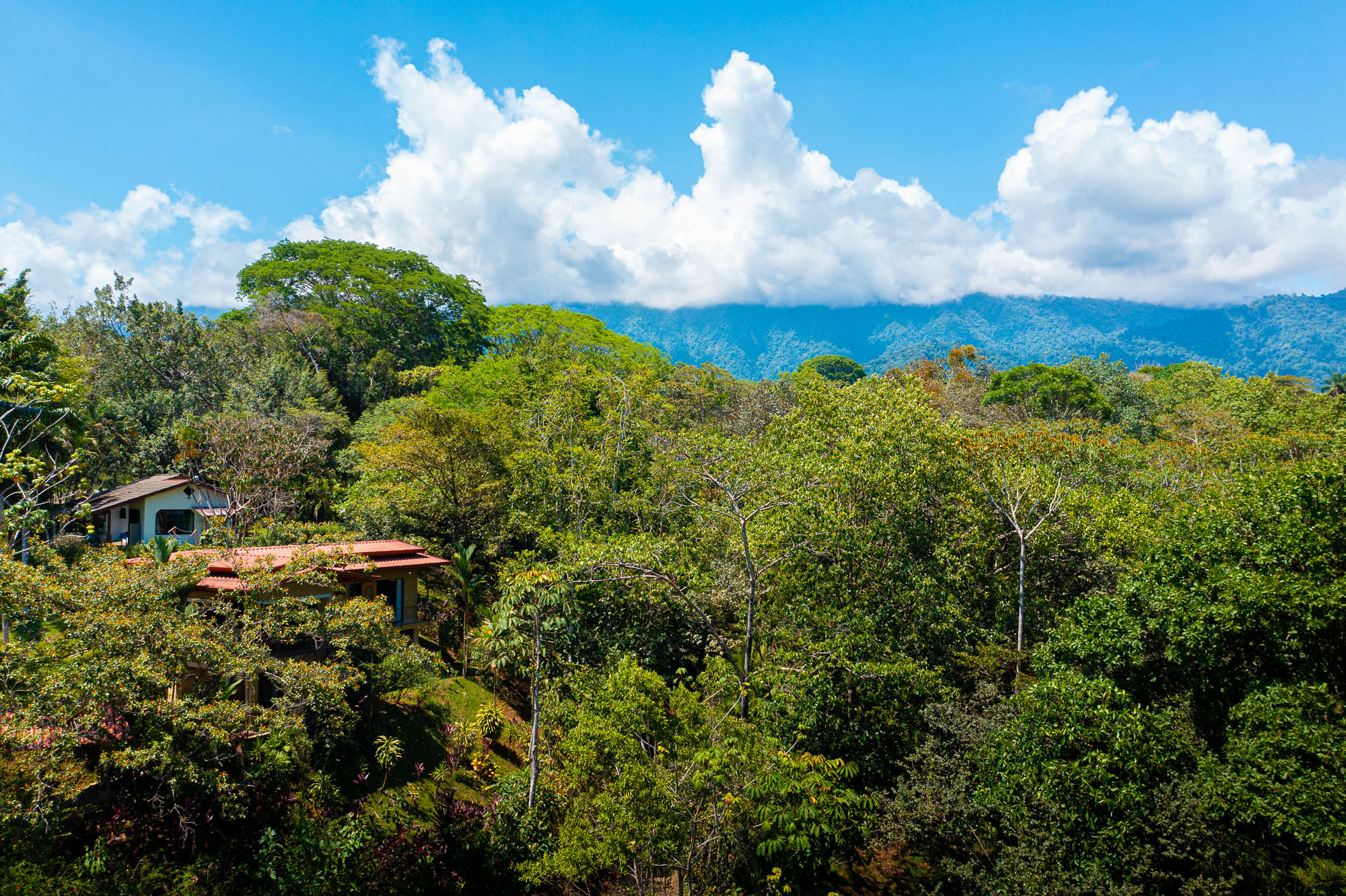 3 bed Single Family Homes For Sale in Ojochal, Puntarenas - thumb 4