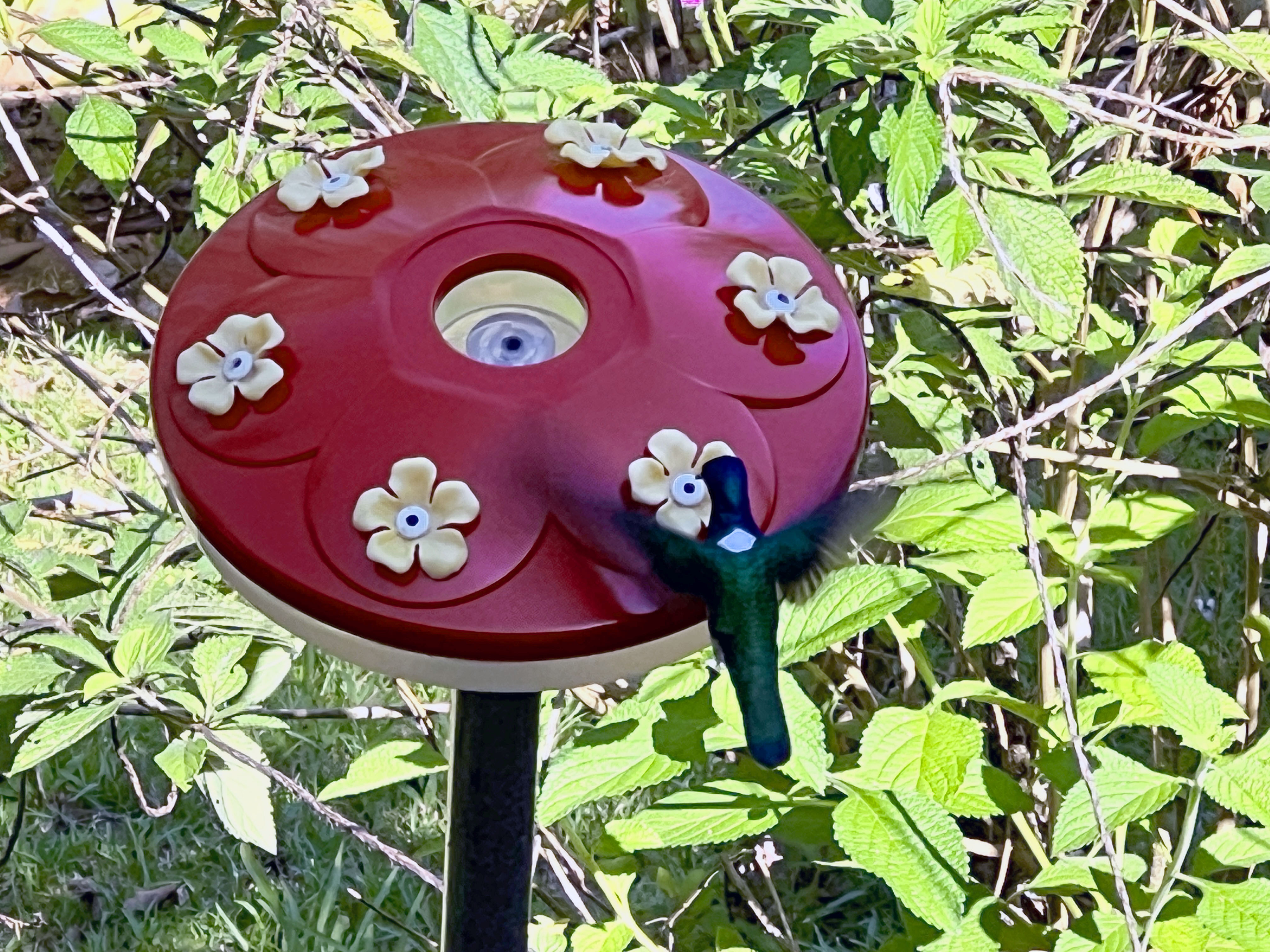 3 bed Single Family Homes For Sale in Ojochal, Puntarenas - thumb 28