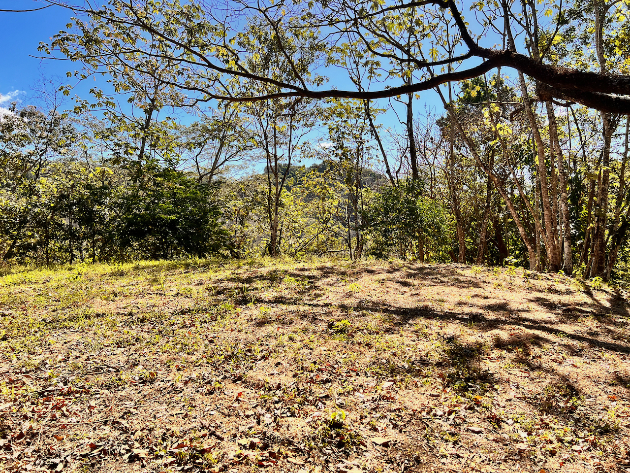 0 bed Land For Sale in Santa Teresa, Puntarenas - thumb 11