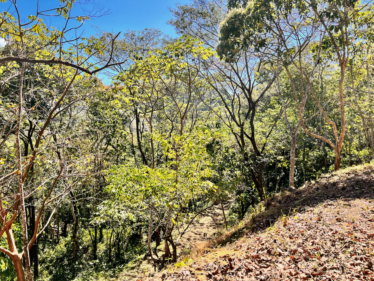 0 bed Land For Sale in Santa Teresa, Puntarenas - thumb 7