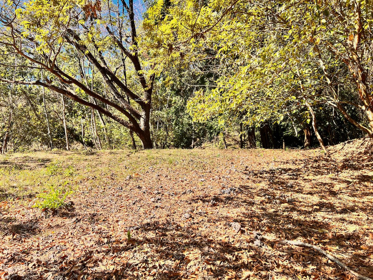 0 bed Land For Sale in Santa Teresa, Puntarenas - thumb 6