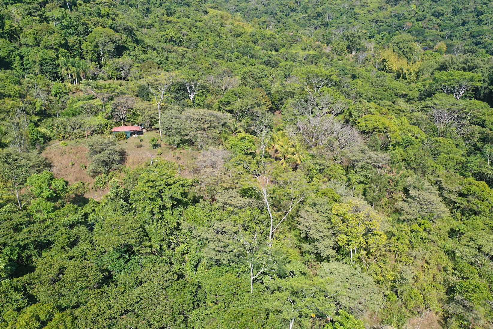 0 bed Land For Sale in Dominical, Puntarenas - thumb 5