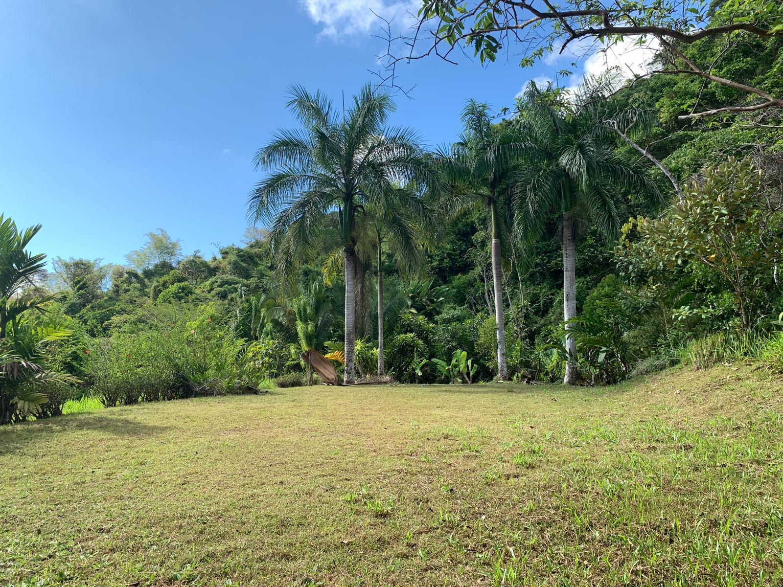 0 bed Land For Sale in Dominical, Puntarenas - thumb 7