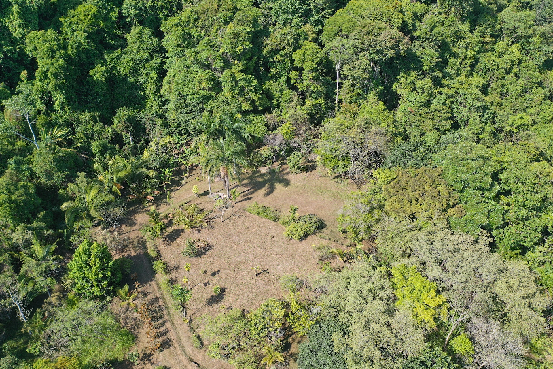 0 bed Land For Sale in Dominical, Puntarenas - thumb 3