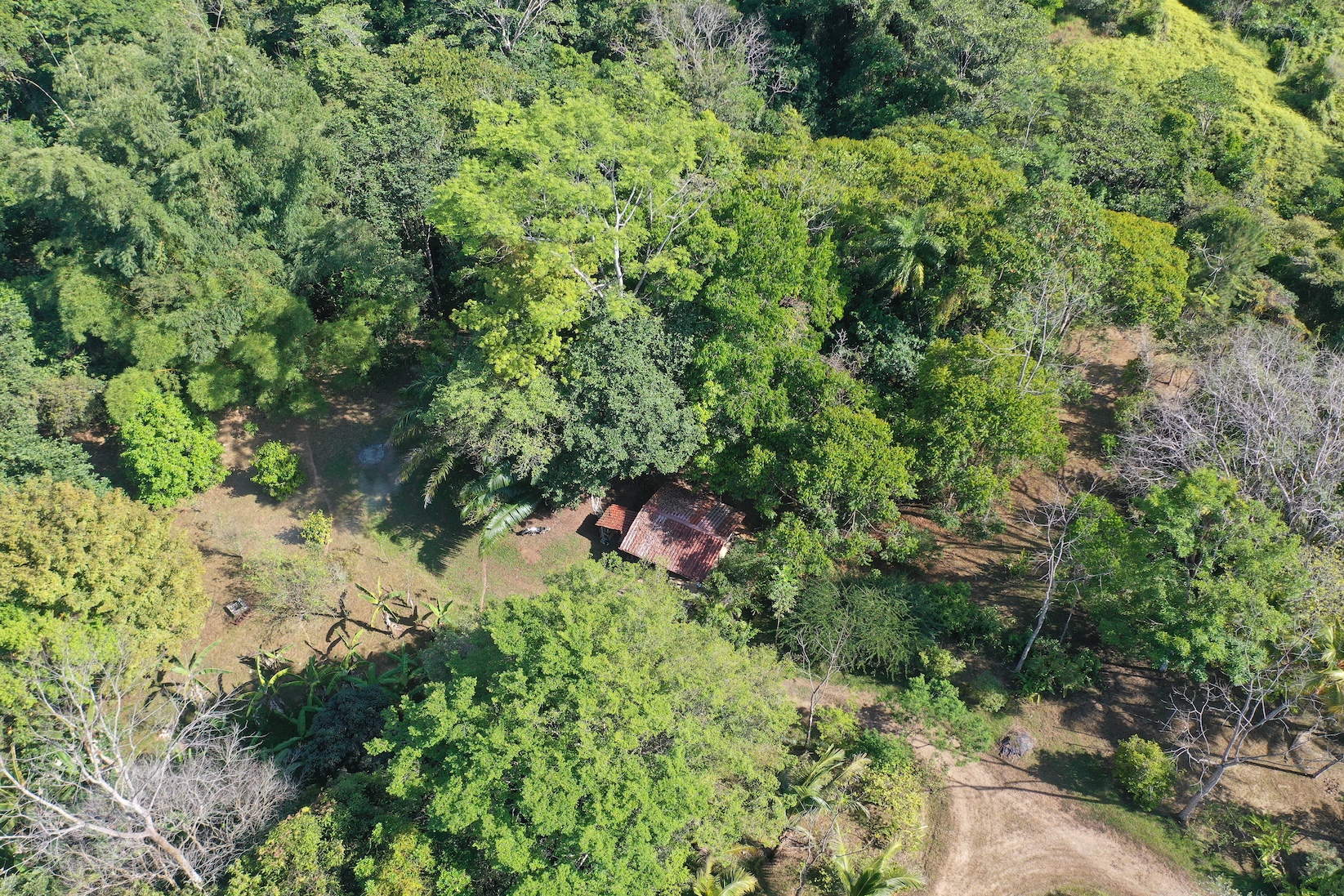 0 bed Land For Sale in Dominical, Puntarenas - thumb 1