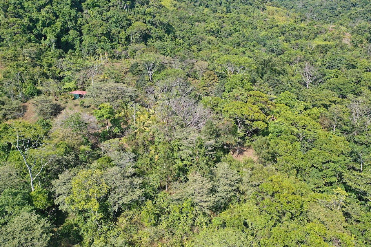 0 bed Land For Sale in Dominical, Puntarenas - thumb 4