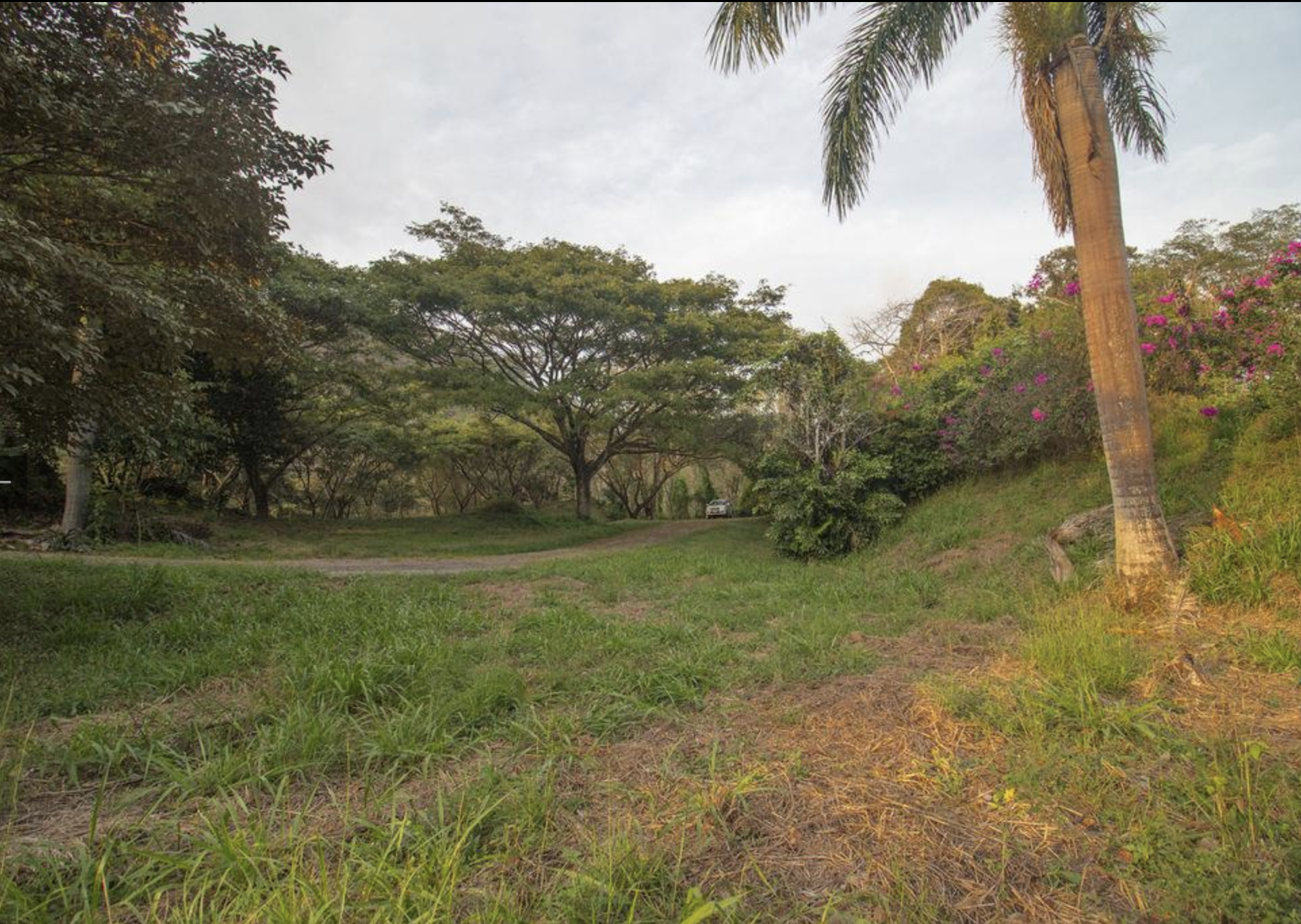 0 bed Land For Sale in Atenas, Alajuela - thumb 8