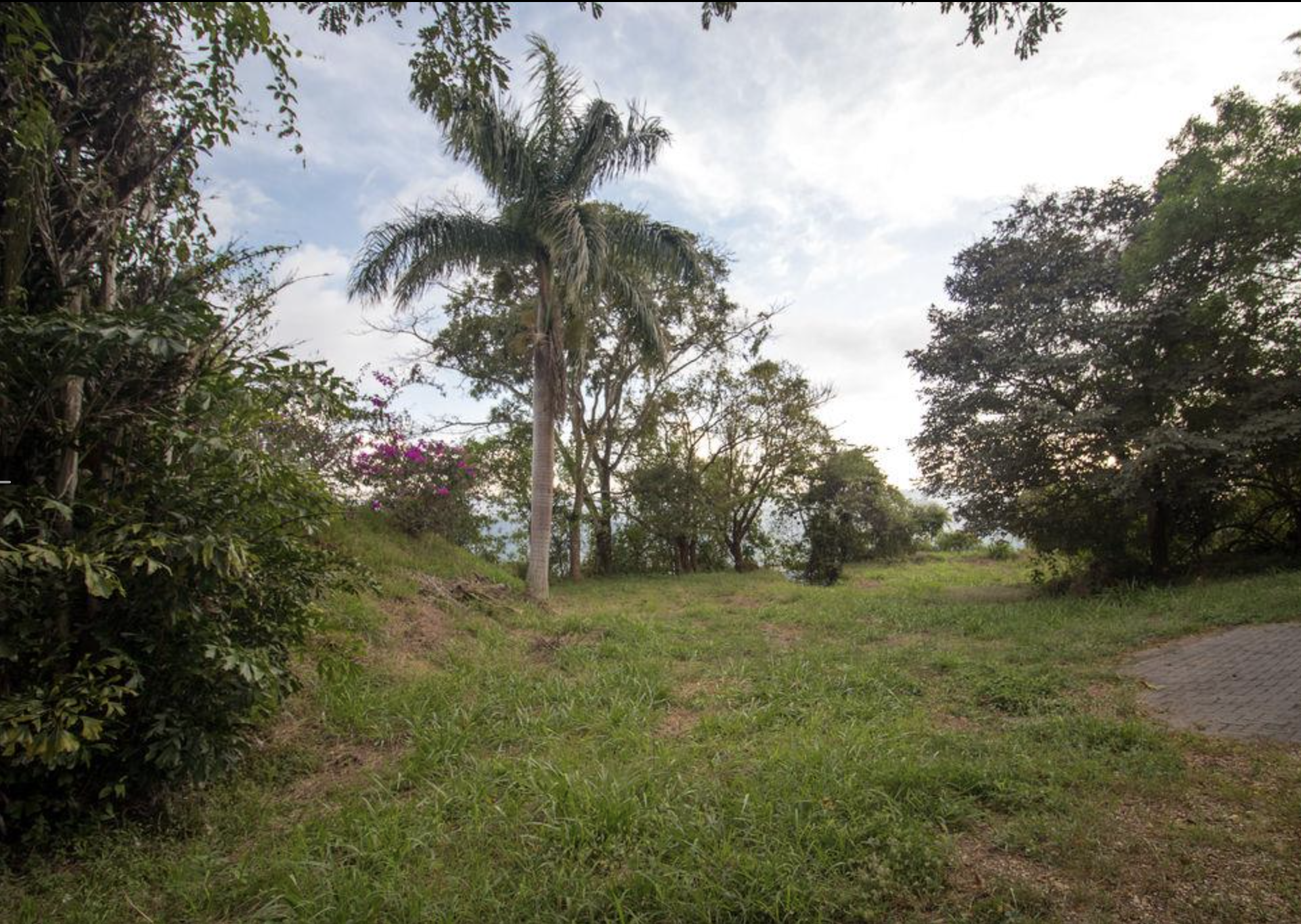 0 bed Land For Sale in Atenas, Alajuela - thumb 6