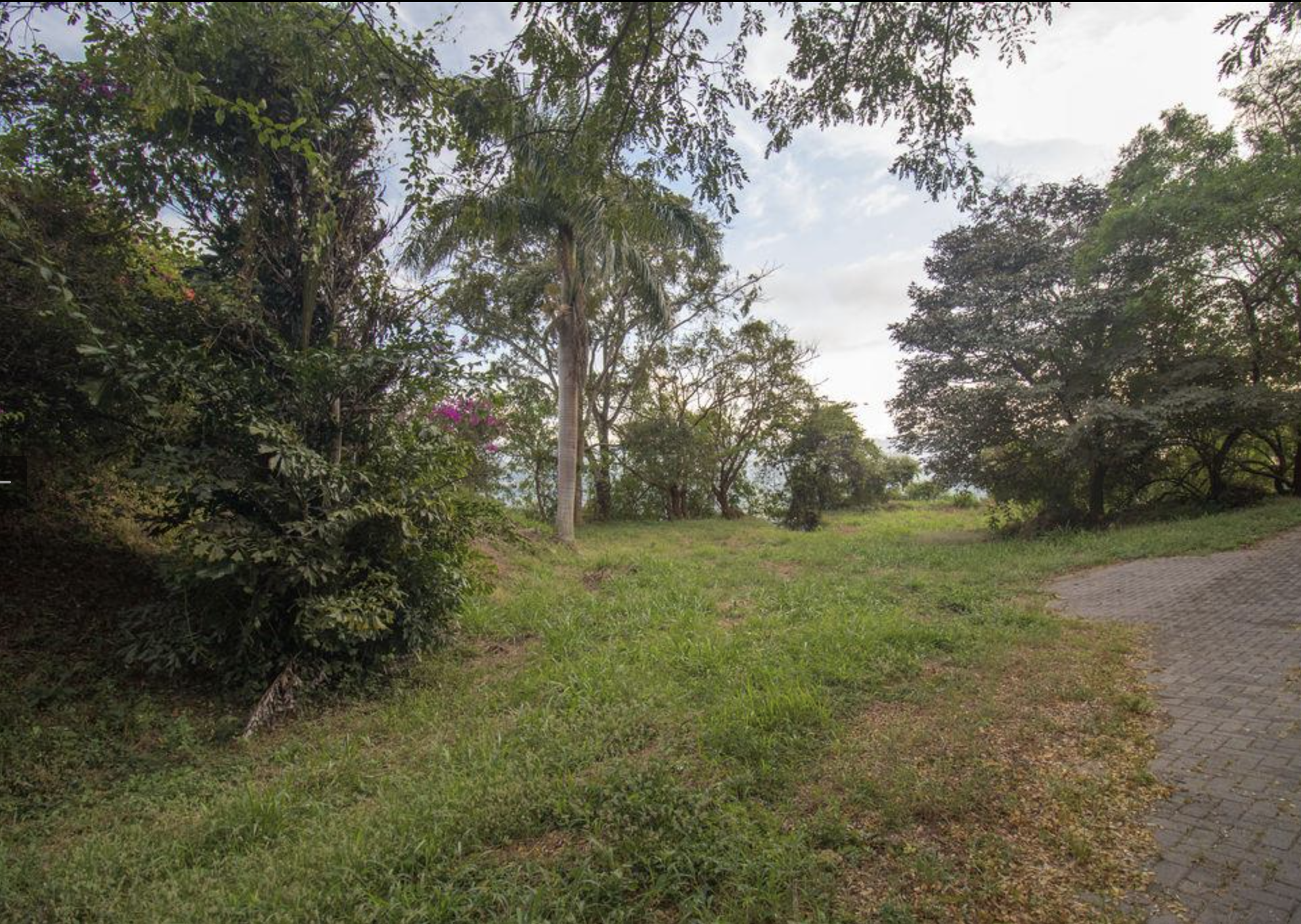 0 bed Land For Sale in Atenas, Alajuela - thumb 7