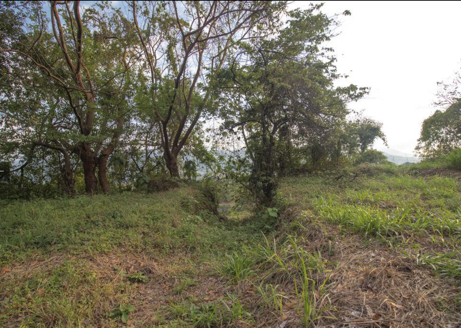0 bed Land For Sale in Atenas, Alajuela - thumb 4