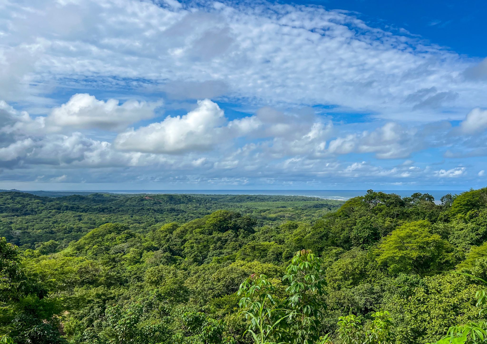 3 bed Single Family Homes For Sale in Tamarindo, Guanacaste - thumb 8