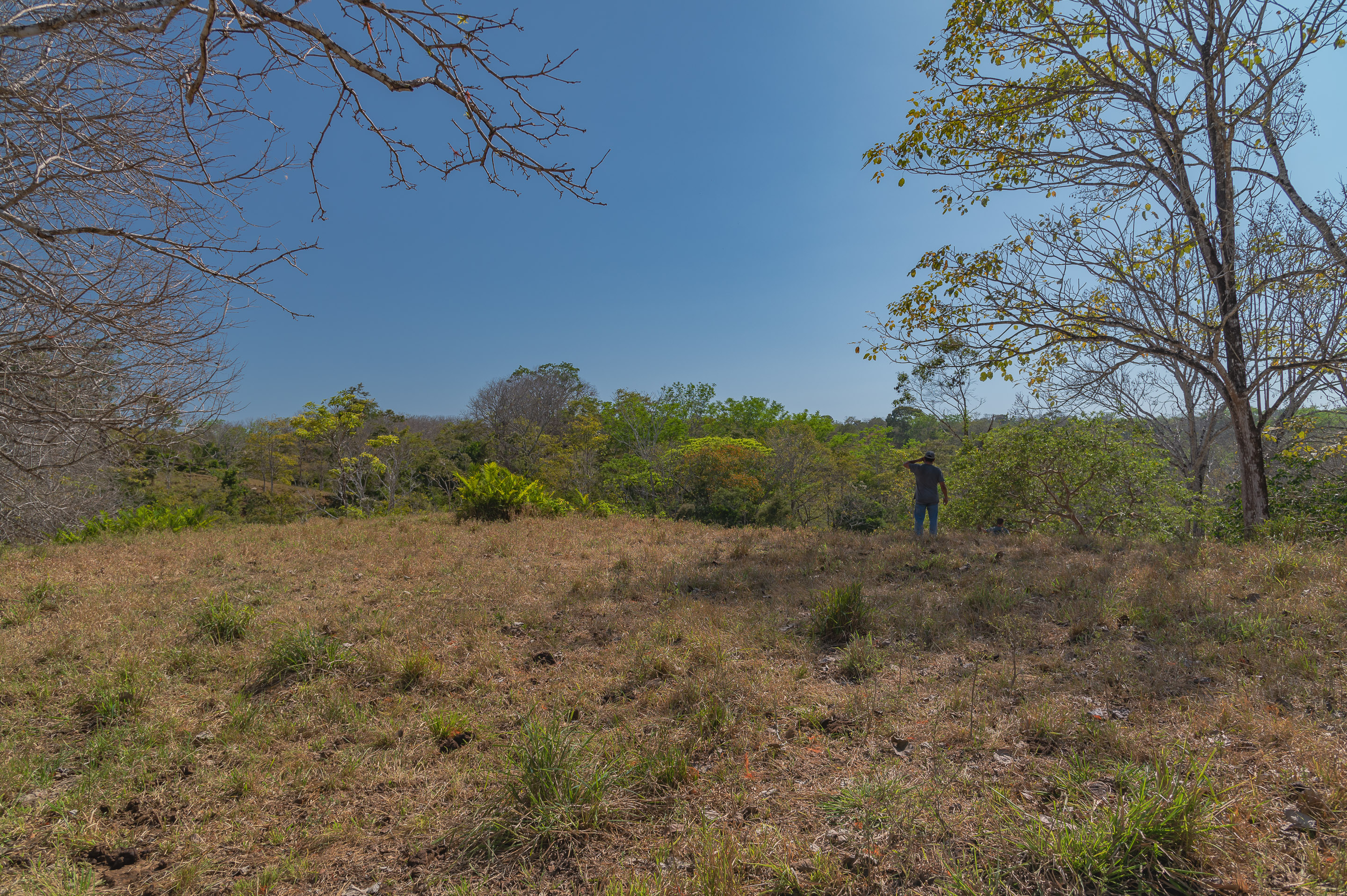 0 bed Land For Sale in Manzanillo, Puntarenas - thumb 14