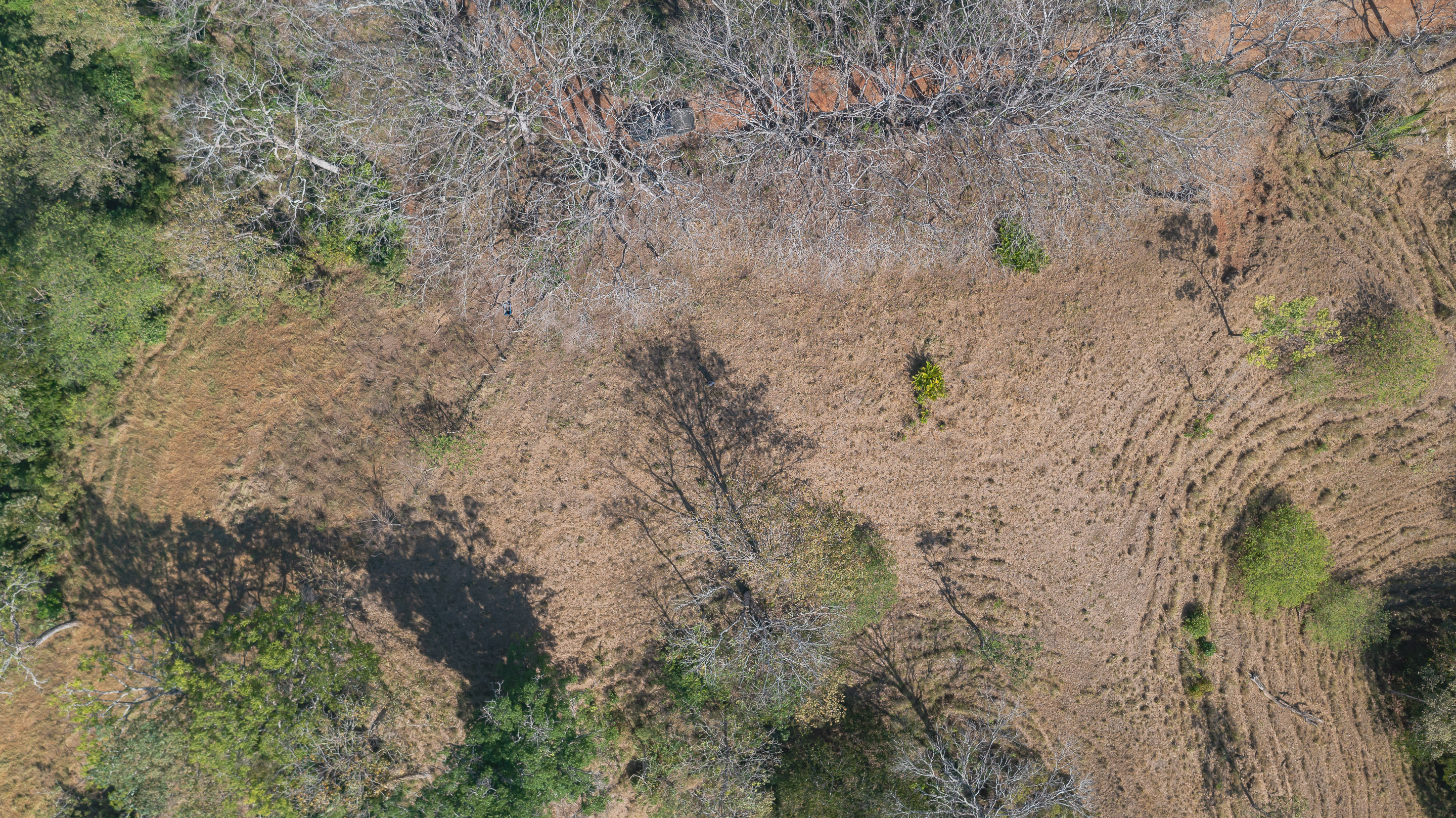 0 bed Land For Sale in Manzanillo, Puntarenas - thumb 23