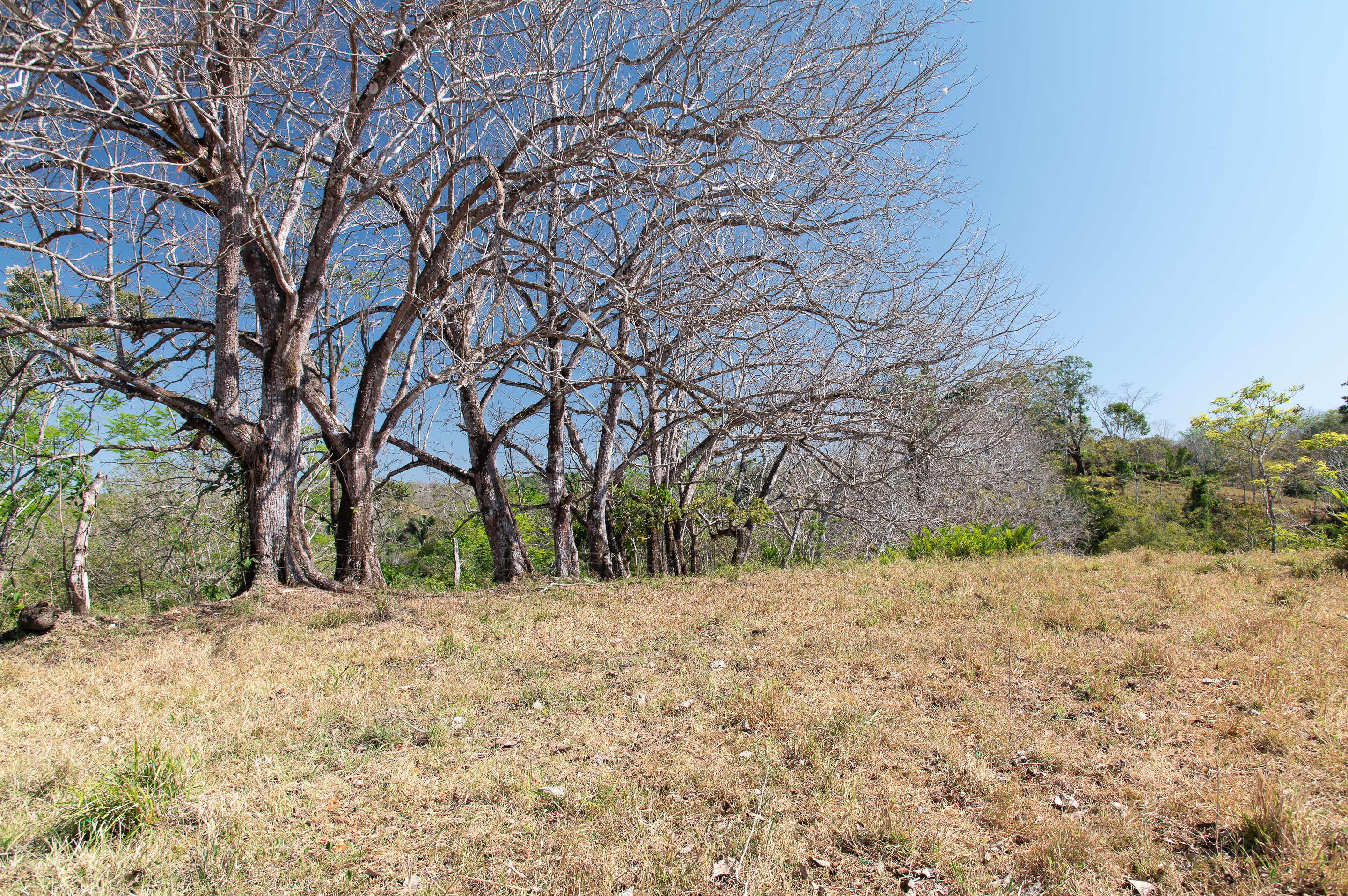 0 bed Land For Sale in Manzanillo, Puntarenas - thumb 7