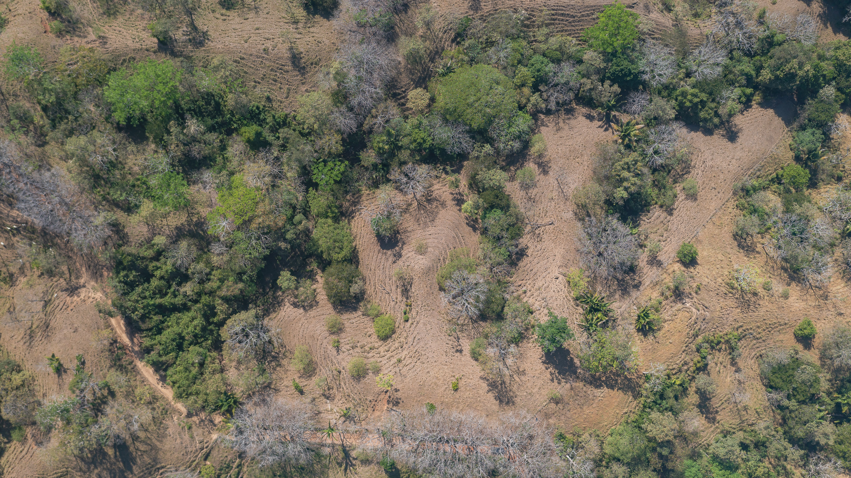 0 bed Land For Sale in Manzanillo, Puntarenas - thumb 20