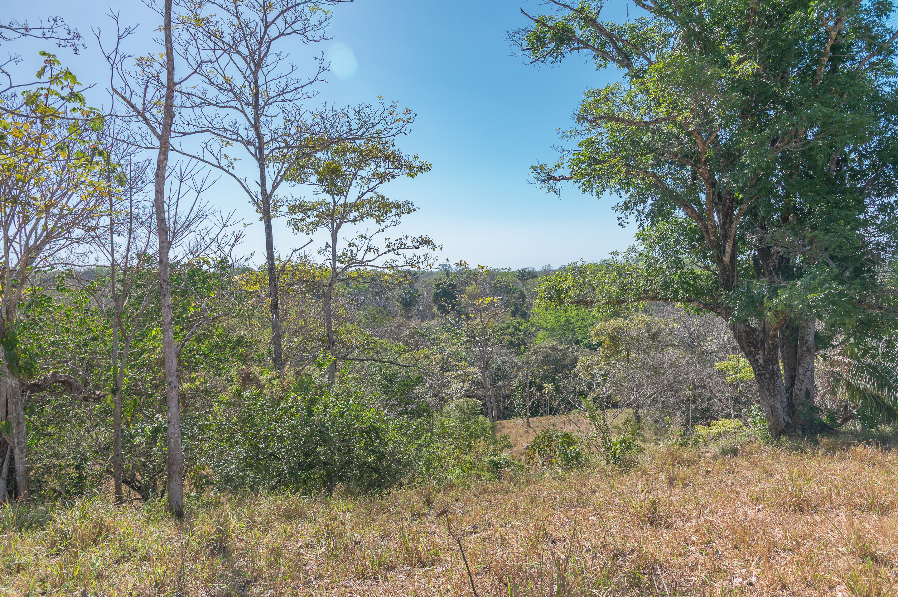 0 bed Land For Sale in Manzanillo, Puntarenas - thumb 10