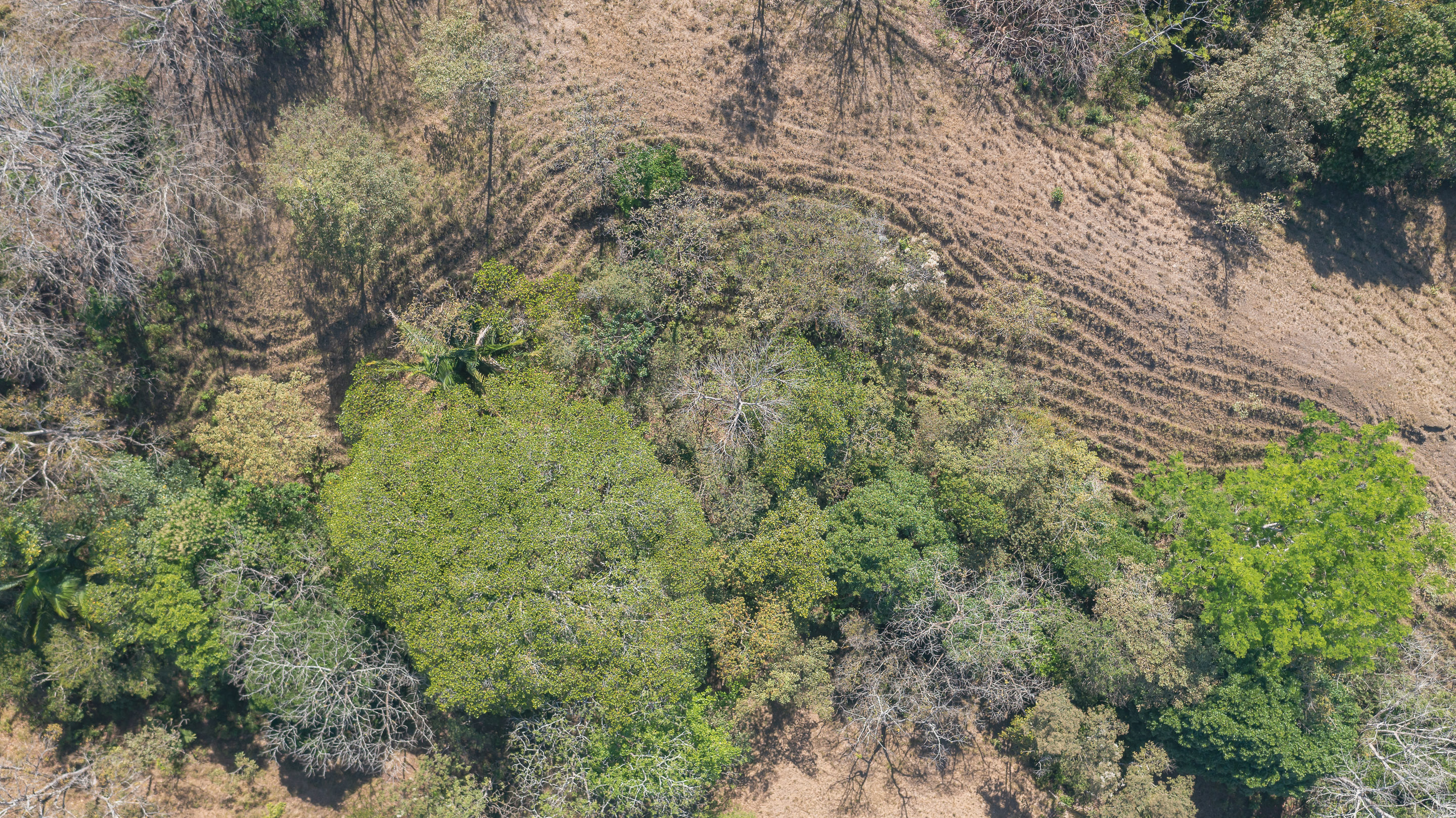 0 bed Land For Sale in Manzanillo, Puntarenas - thumb 18